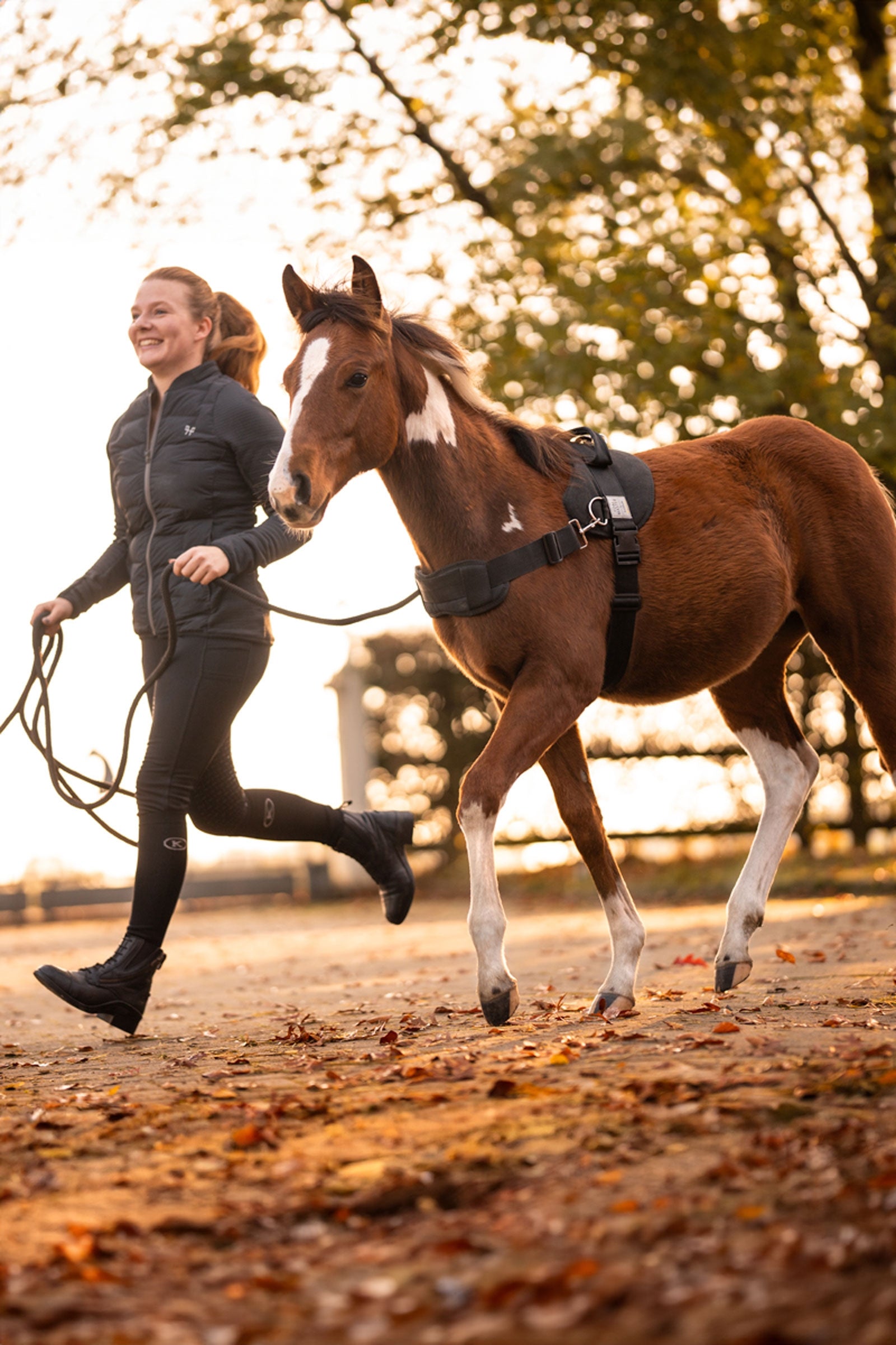 Kavalkade Foalmaster Foal Harness With Handle Pony & Shetland Tac