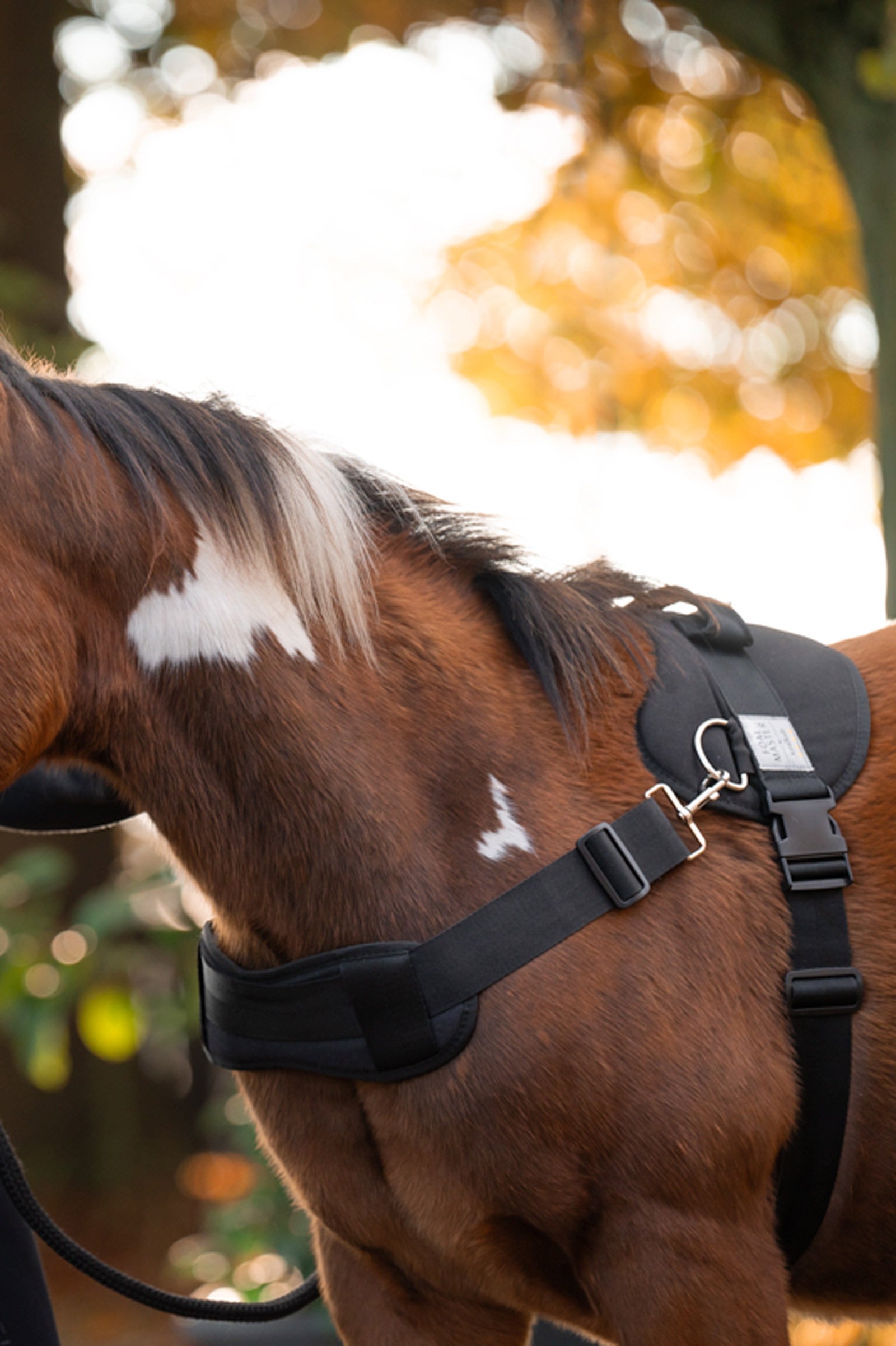 Kavalkade Foalmaster Foal Harness With Handle Pony & Shetland Tac