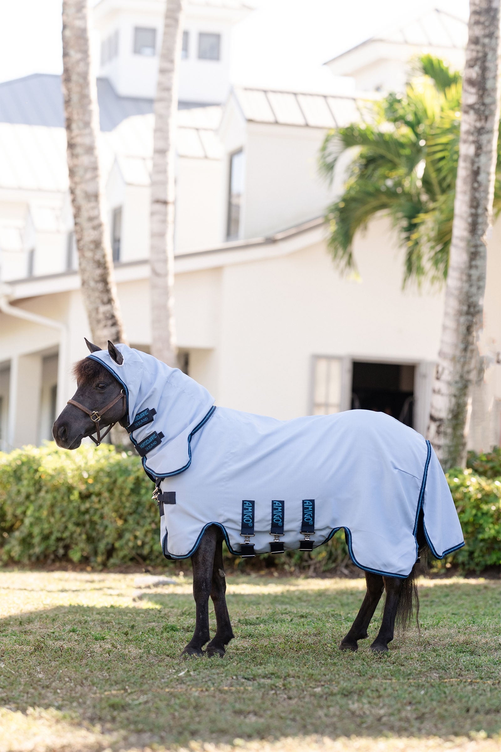Horseware Amigo Ripstop Hoody, Petite Coperte per cavalli