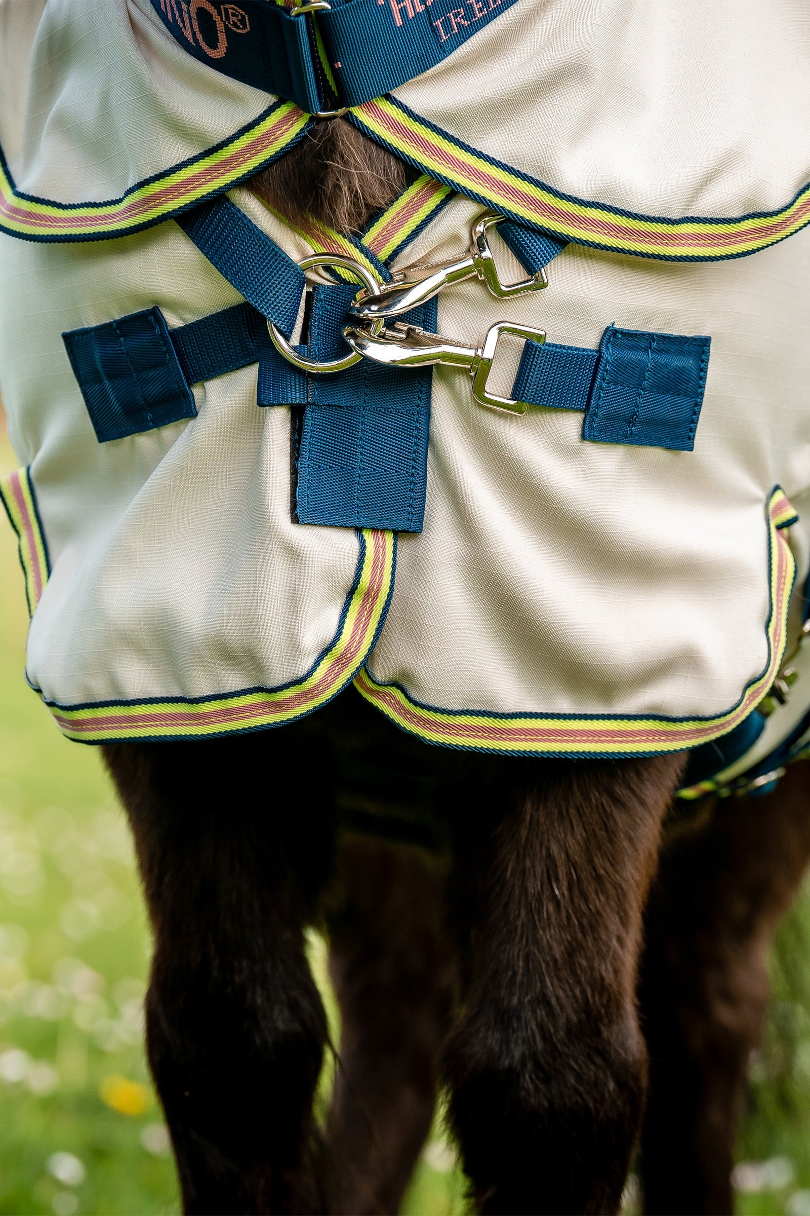 Horseware Amigo Ripstop Petite Hoody Horse Rugs