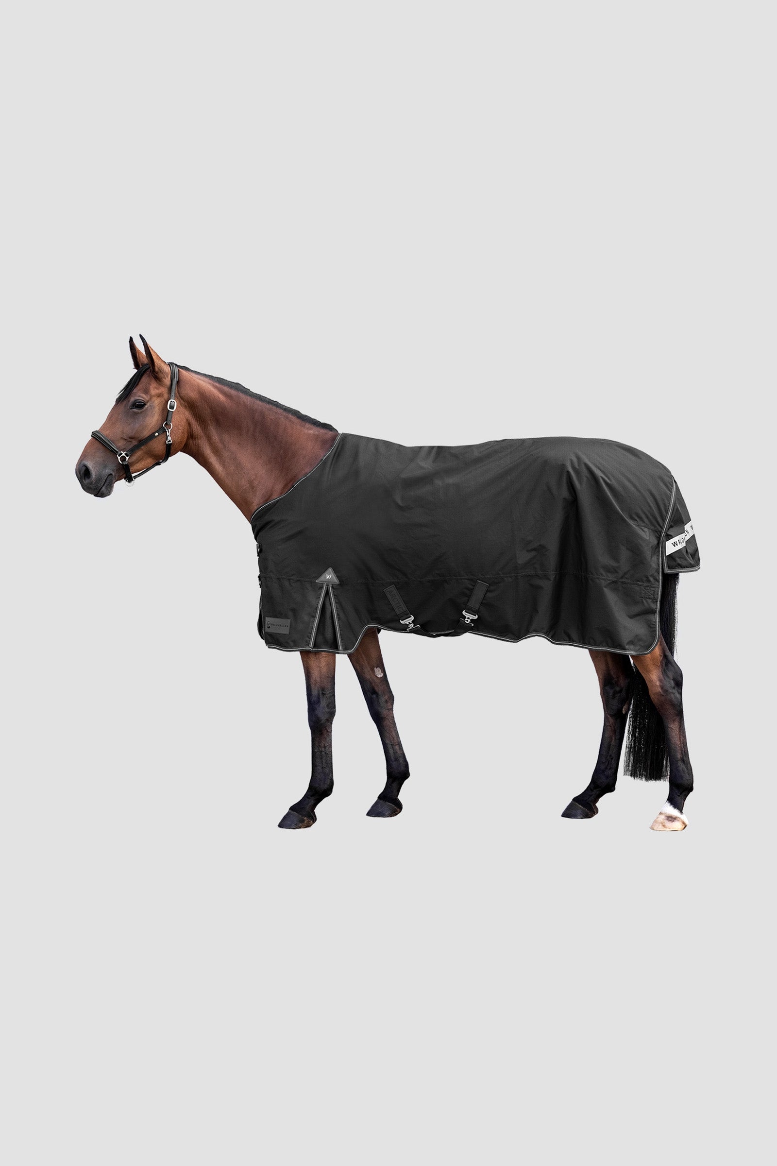 Waldhausen Outdoor Rug Arctic Light Coperte per cavalli