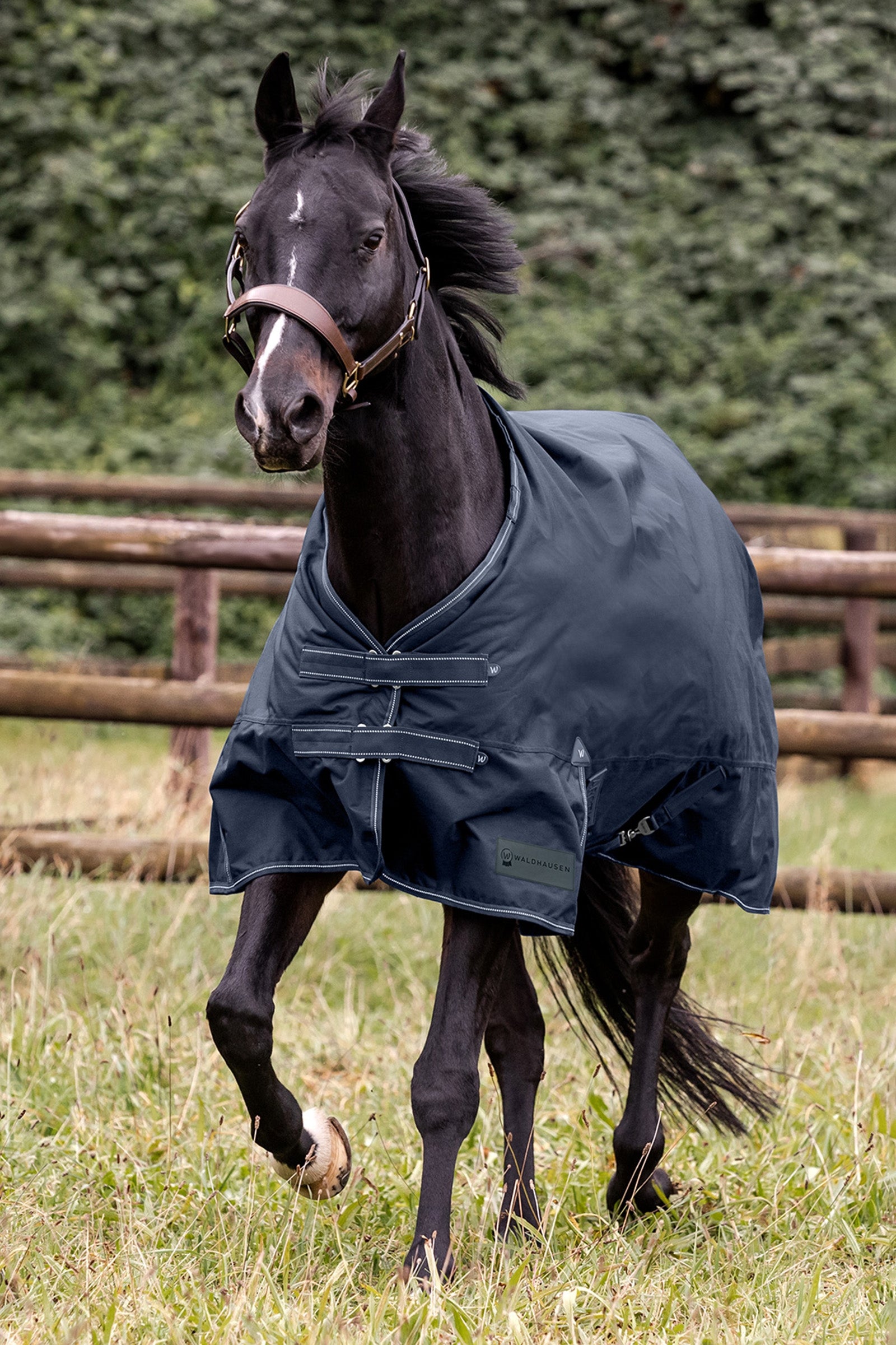 Waldhausen Outdoor Rug Arctic Light Horse Rugs