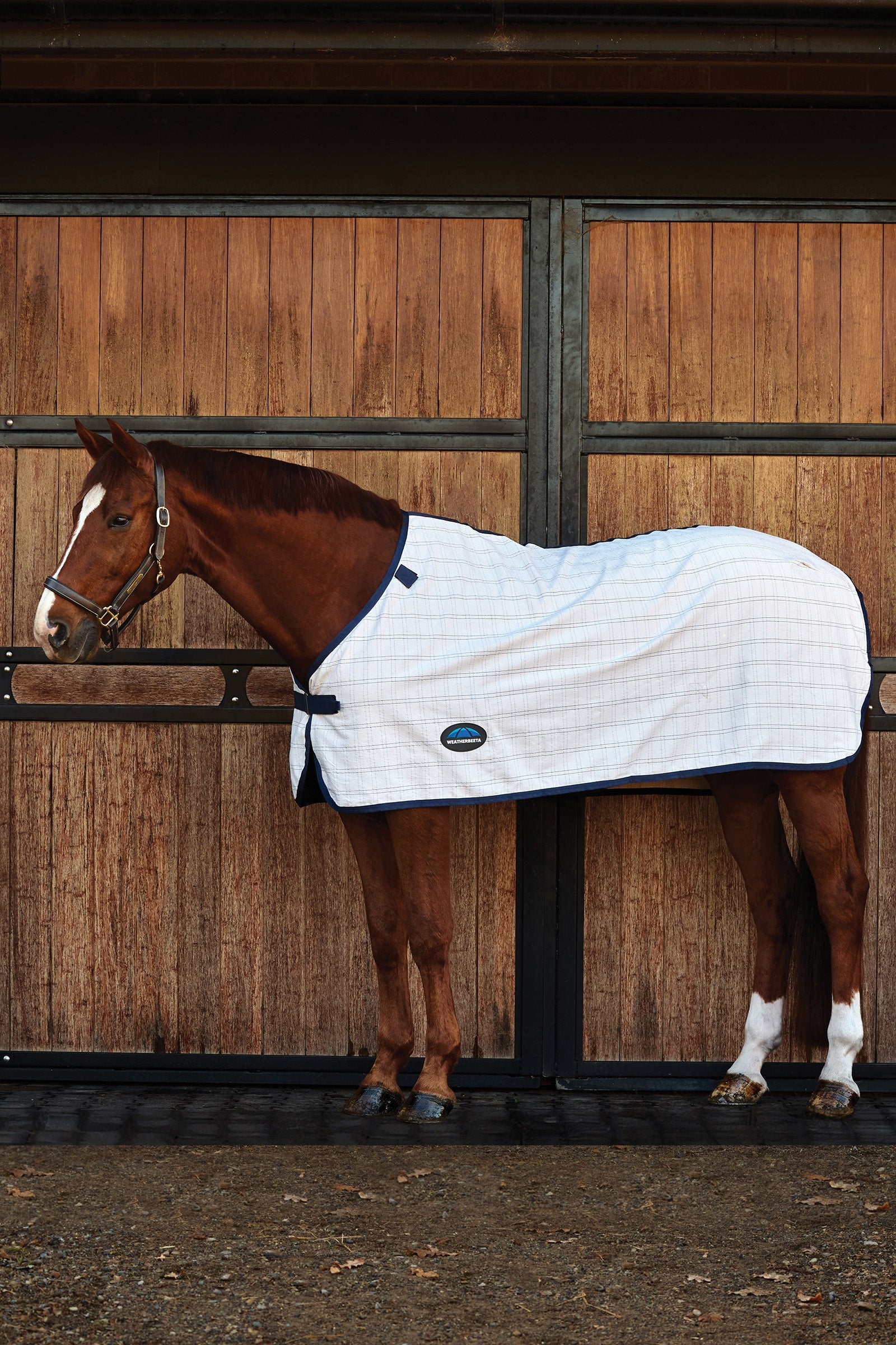 Weatherbeeta ComFiTec Cotton-Liner Coperte per cavalli