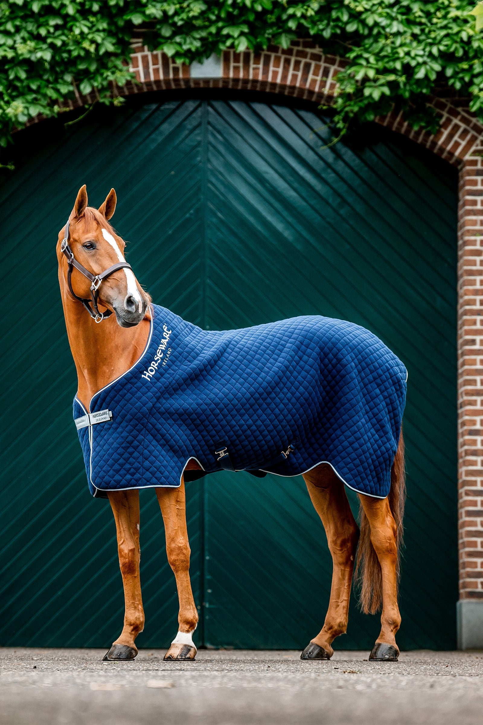 Horseware Autumn Coperta dopolavoro Coperte per cavalli