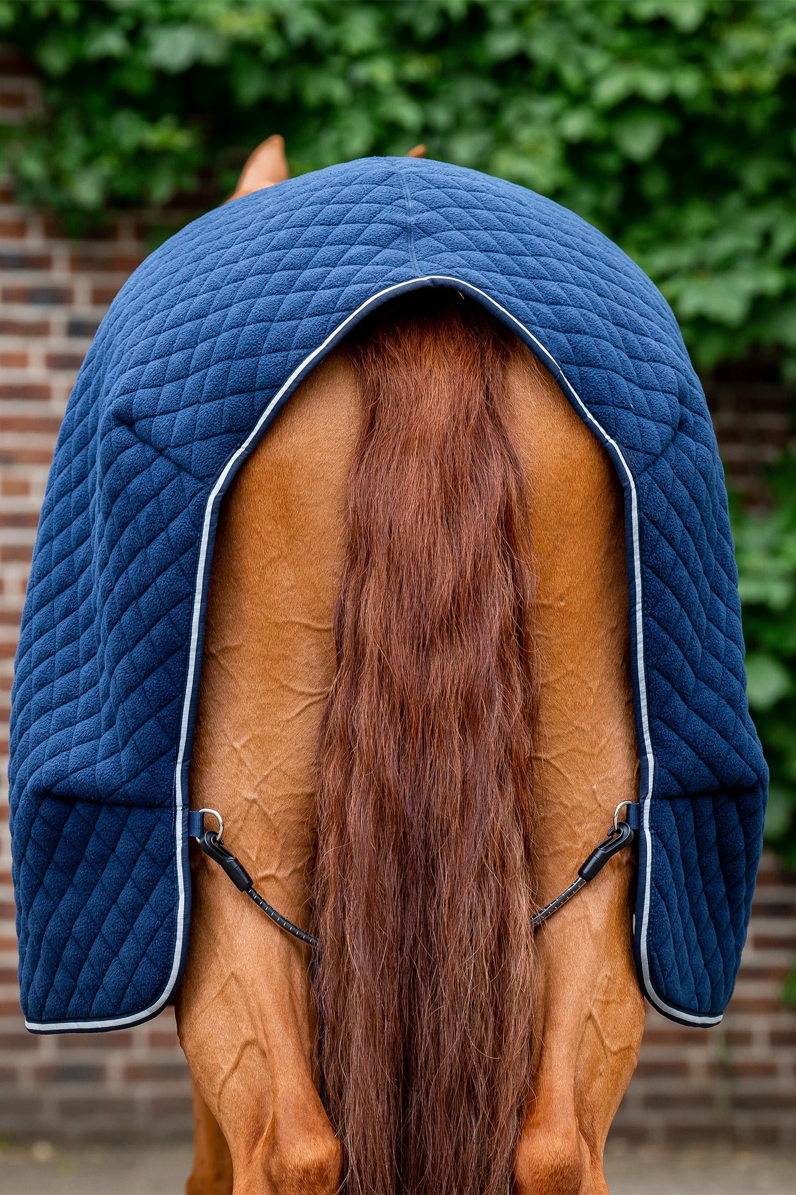 Horseware Autumn Cooler Horse Rugs