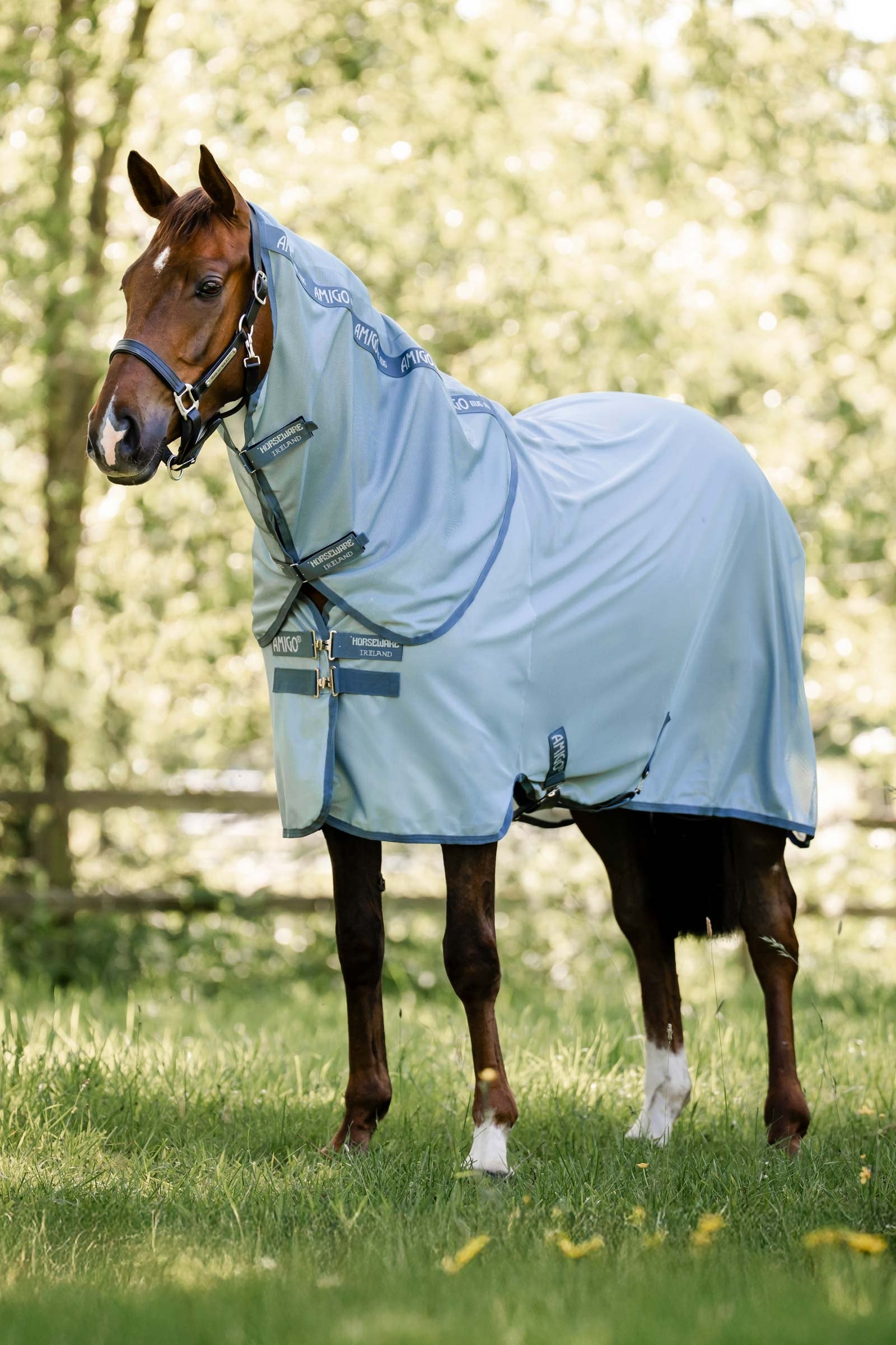 Horseware Amigo Coperta antimosche Plus Coperte per cavalli