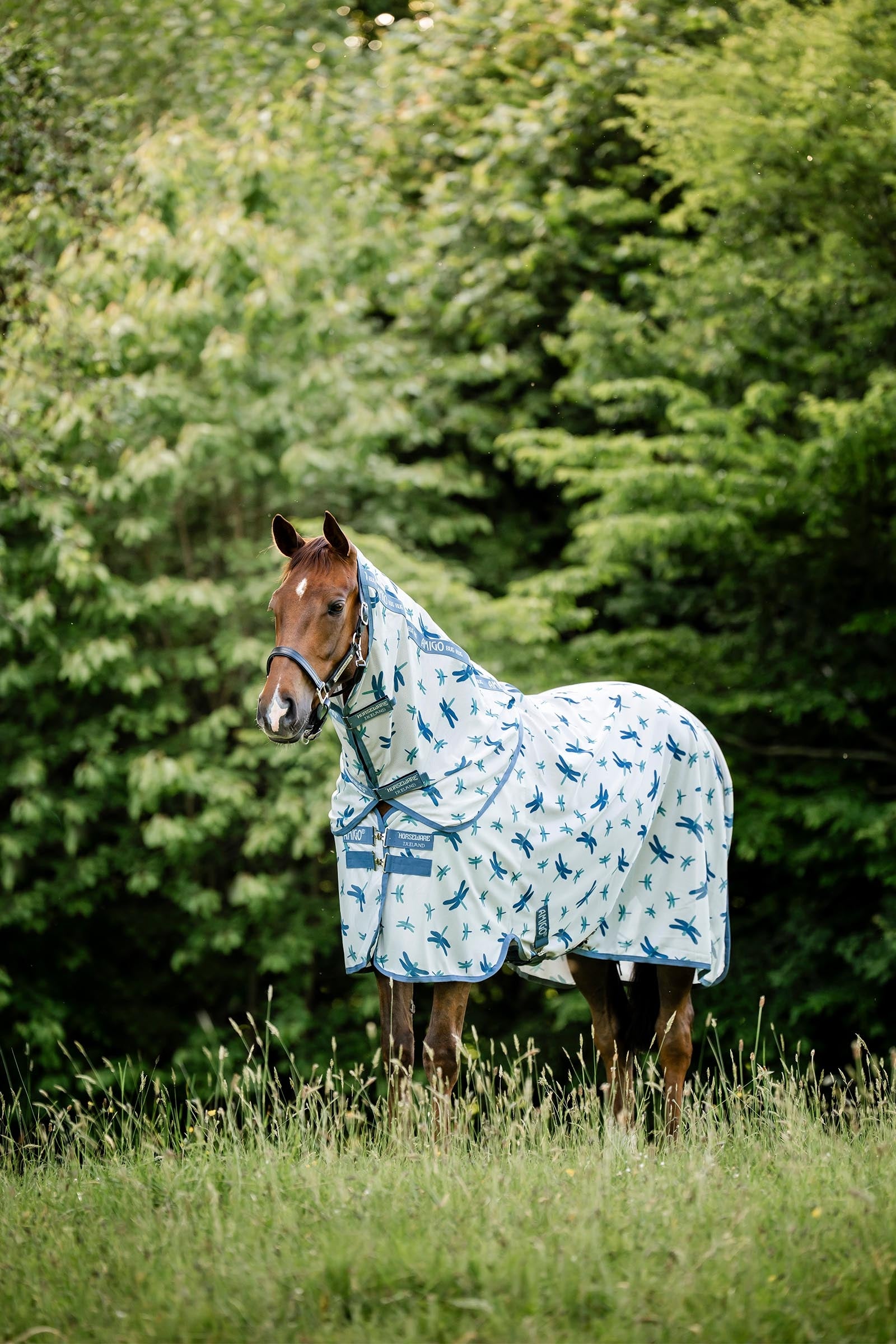 Horseware Amigo Coperta antimosche Plus Coperte per cavalli