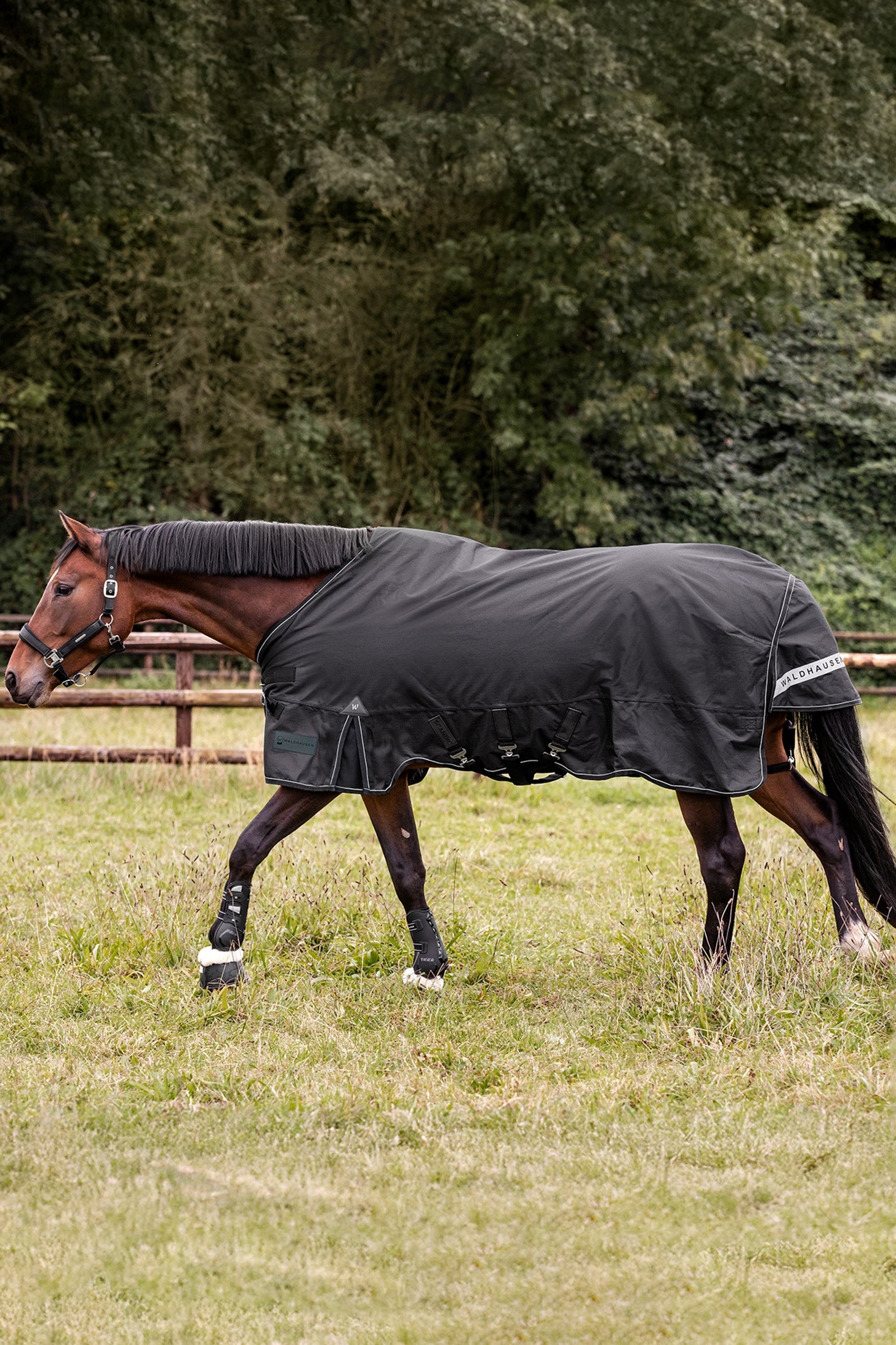 Waldhausen Outdoor Rug Scandic 300 g Horse Rugs