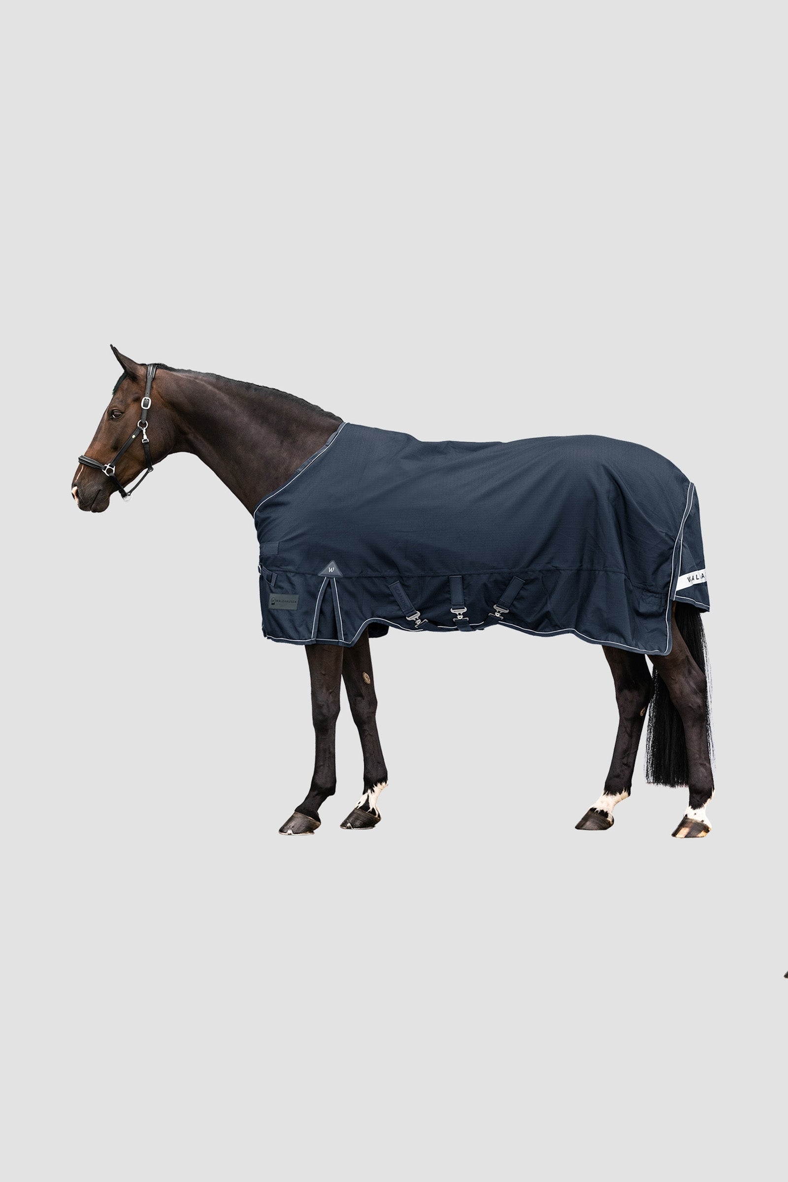 Waldhausen Outdoor Rug Scandic 300 g Coperte per cavalli