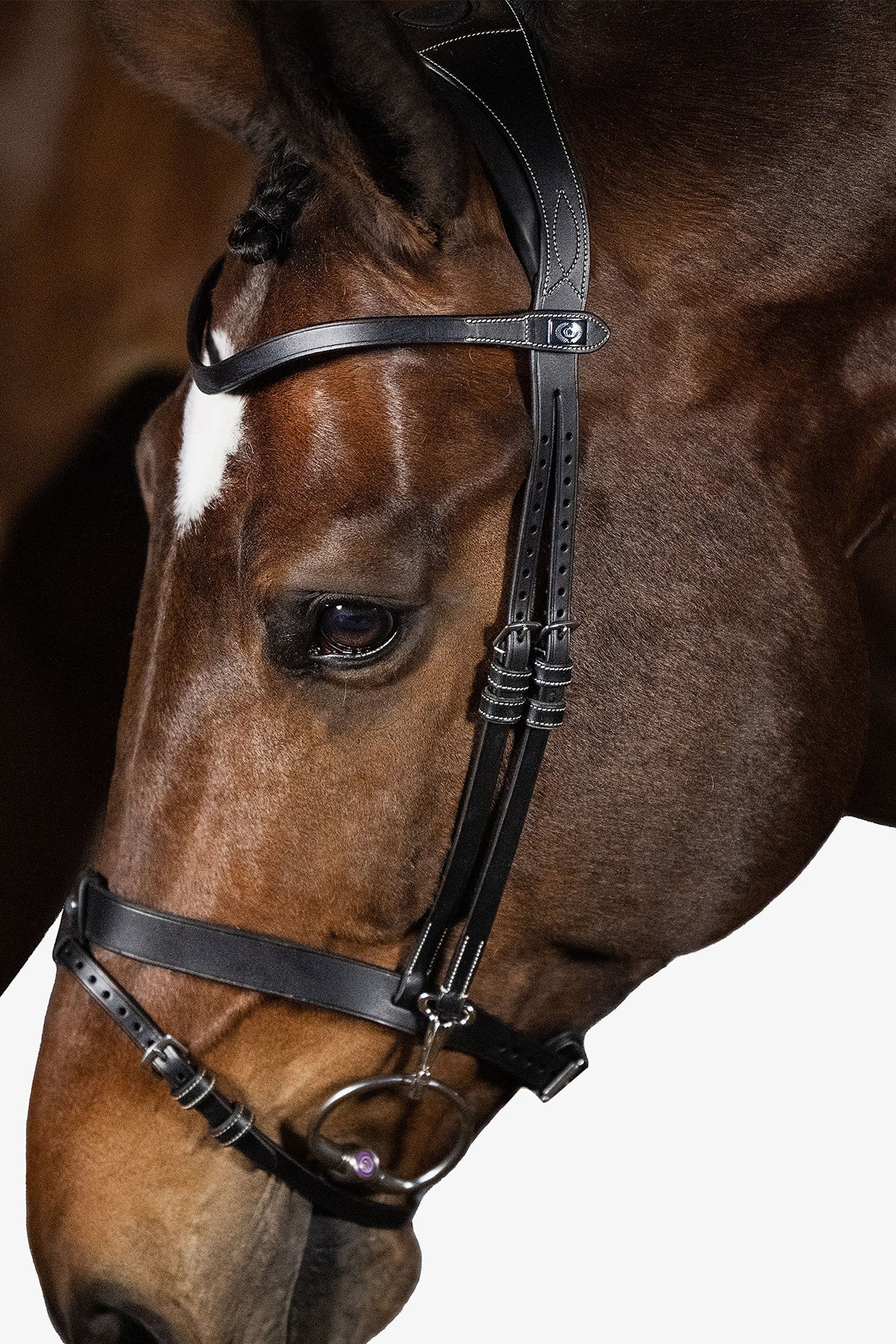 PS of Sweden London Bridle Briglie & redini
