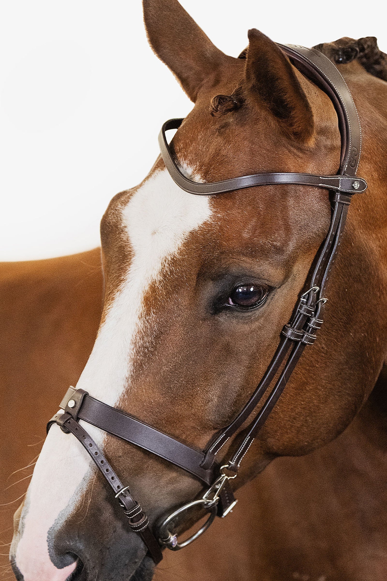 PS of Sweden London Bridle Briglie & redini