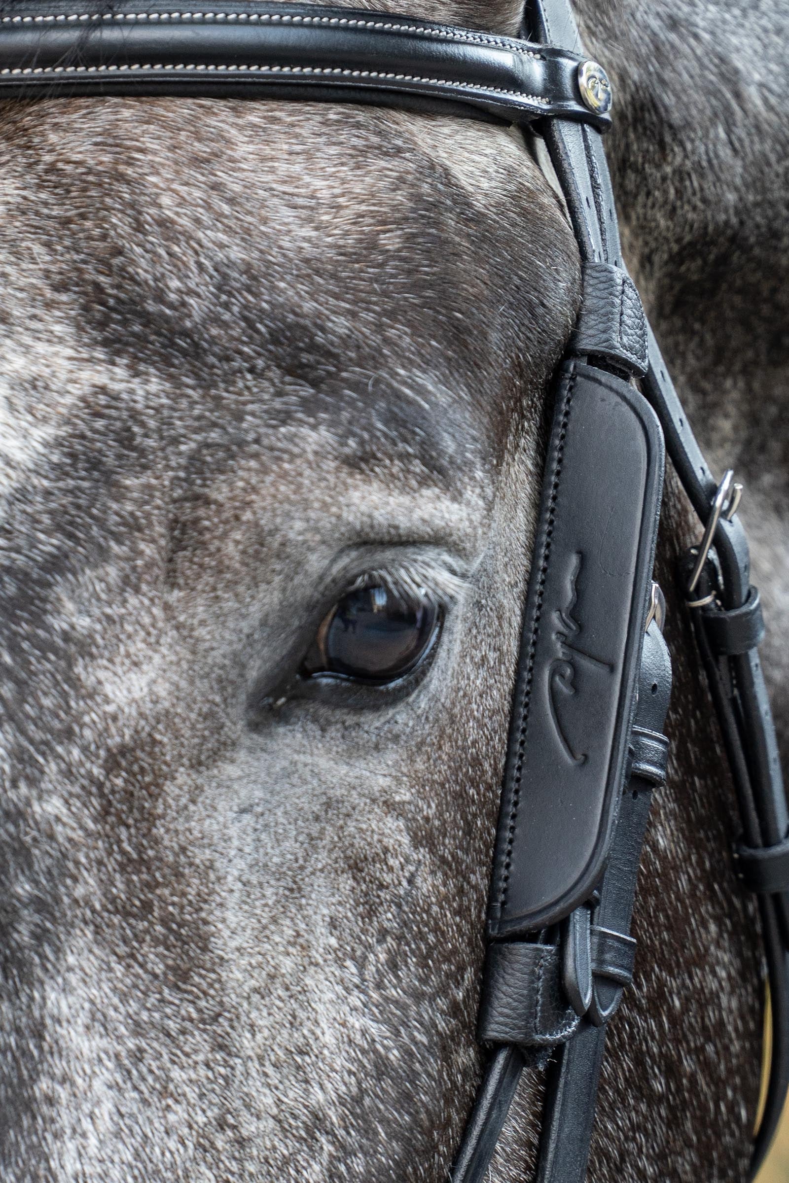 Dy'on Working Blinkers Bridles & Reins