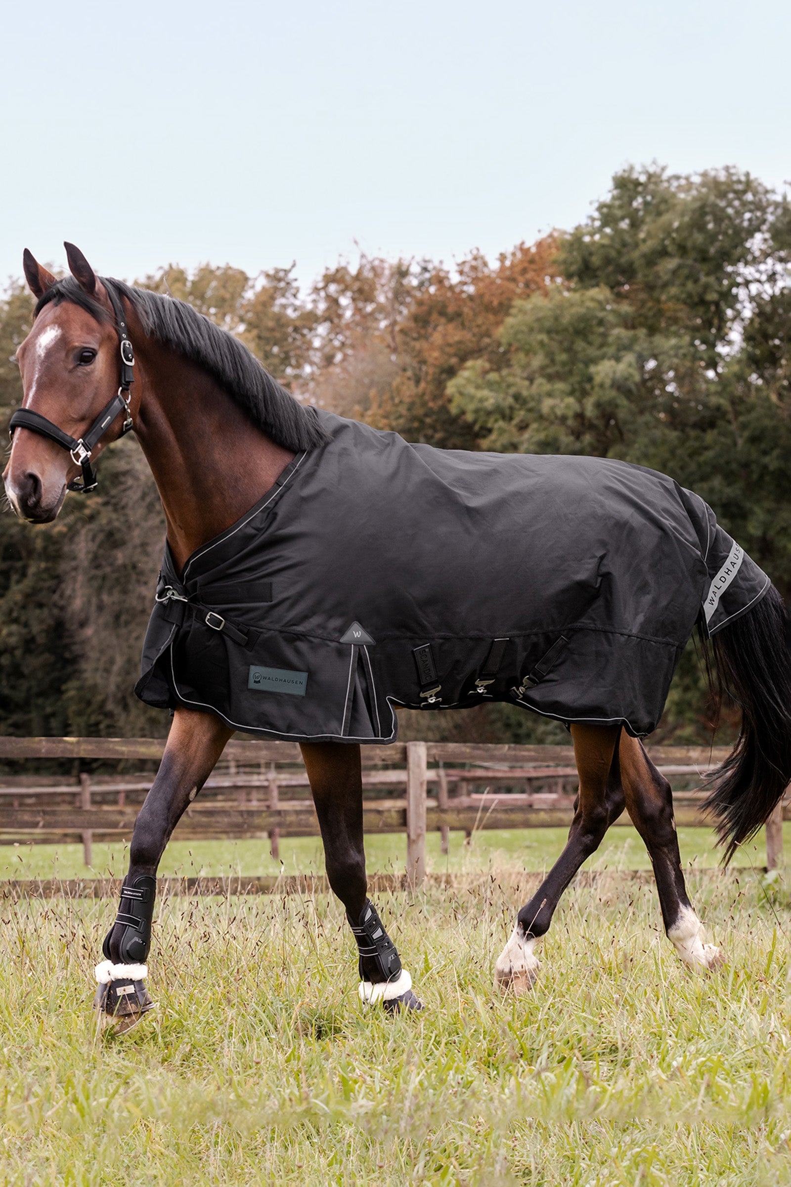 Waldhausen Outdoor Rug Scandic Multi-Layer 150g/50g Horse Rugs
