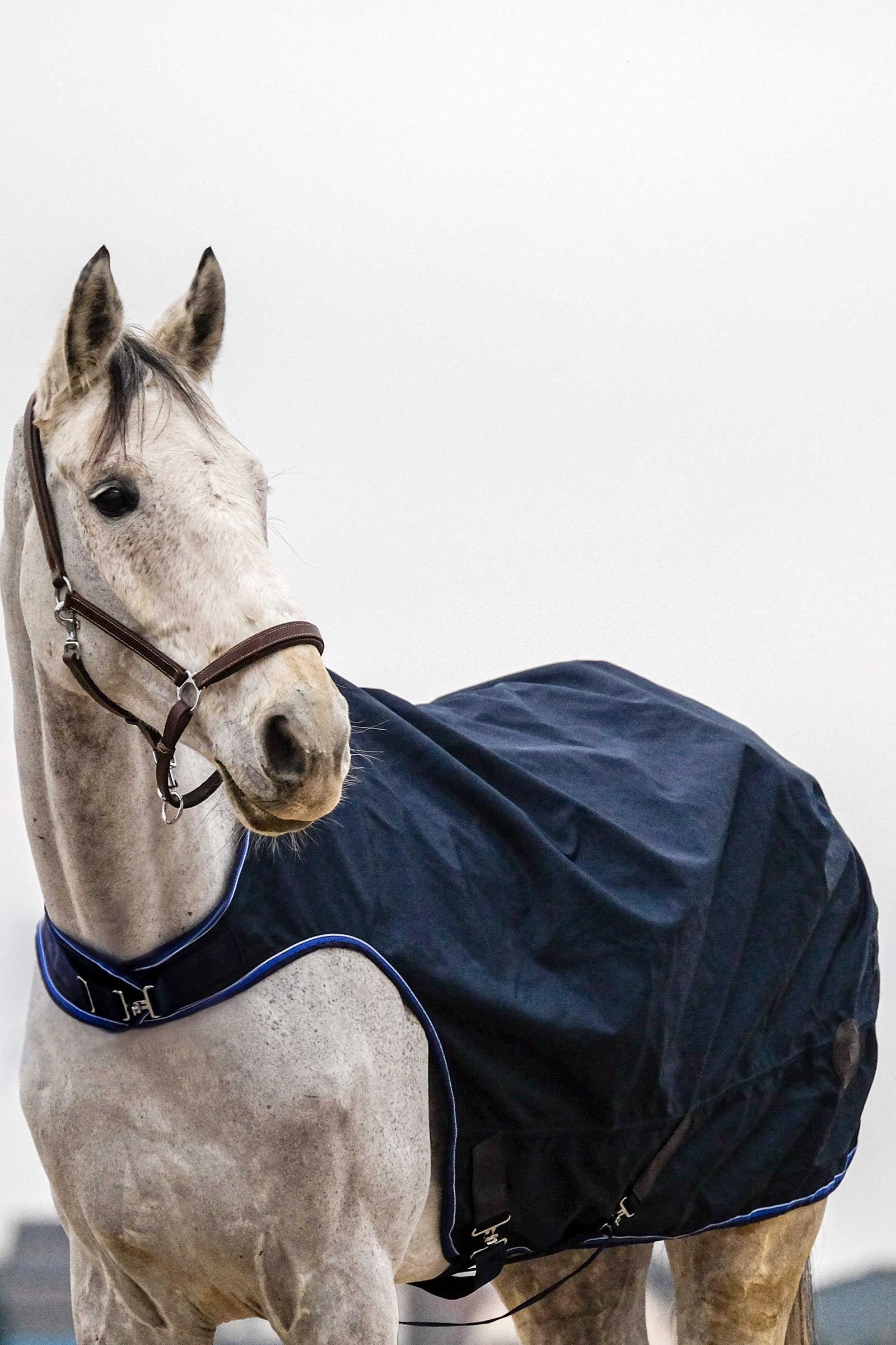 Equi Theme EQUITHÈME Classic 1200D Walker Sheet Horse Rugs