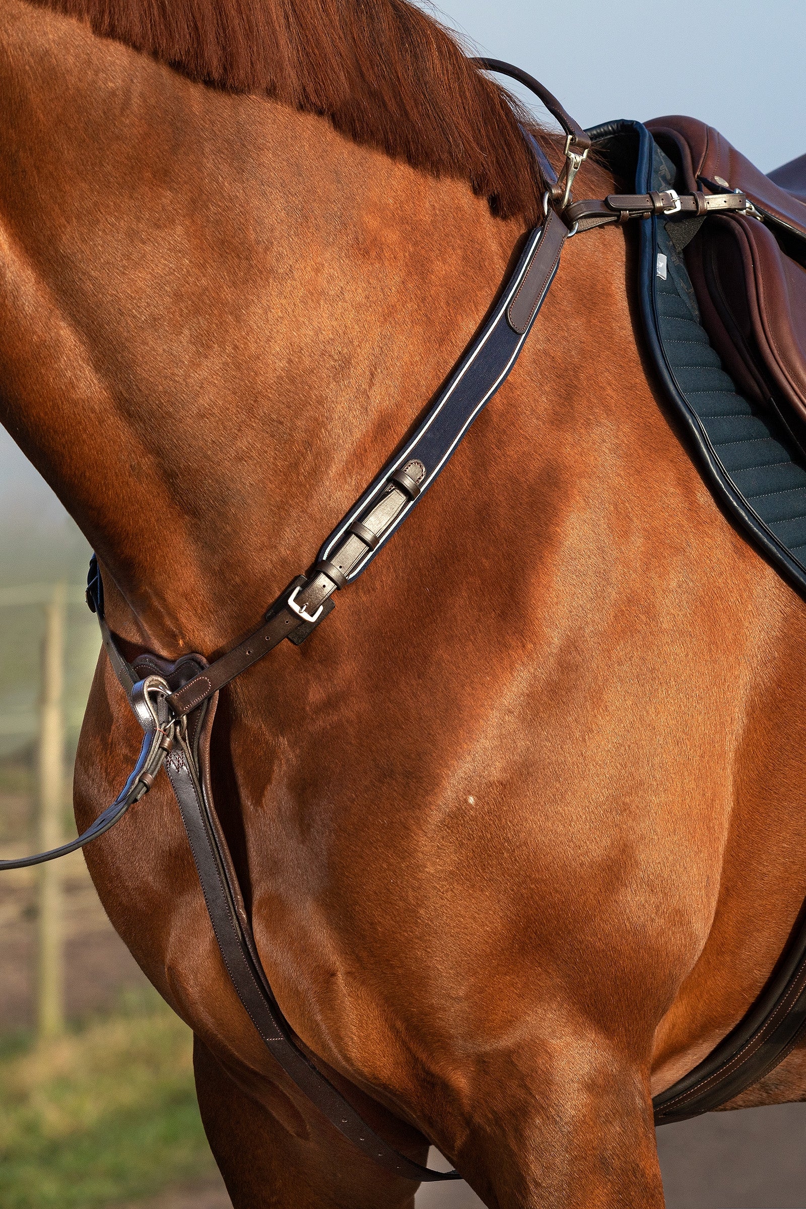 Horseware Rambo Micklem Breastplate Briglie & redini