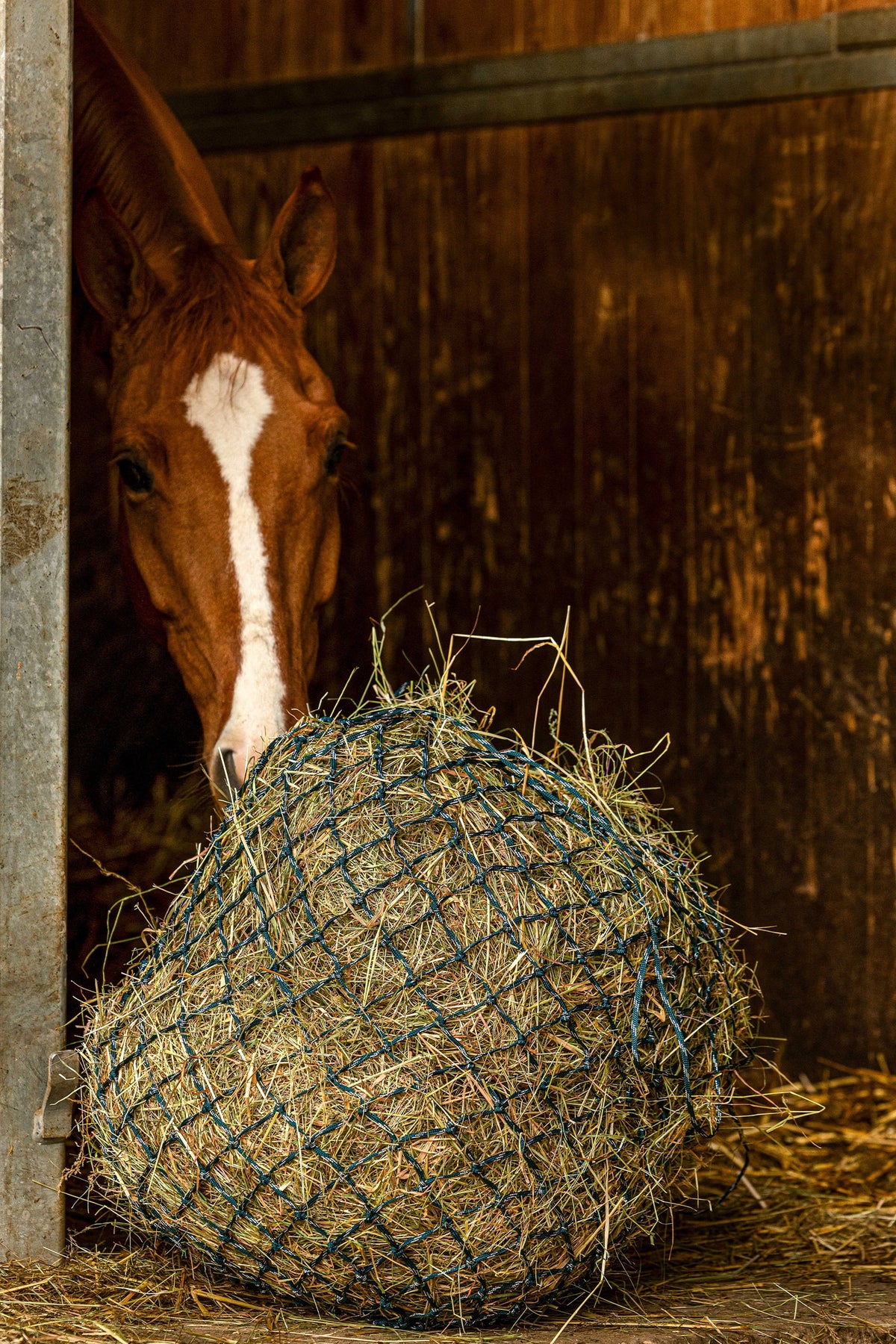 HIPPOTONIC ZARI Rete per fieno (105 cm), maglia 5 x 5 Alimentazione e bevande