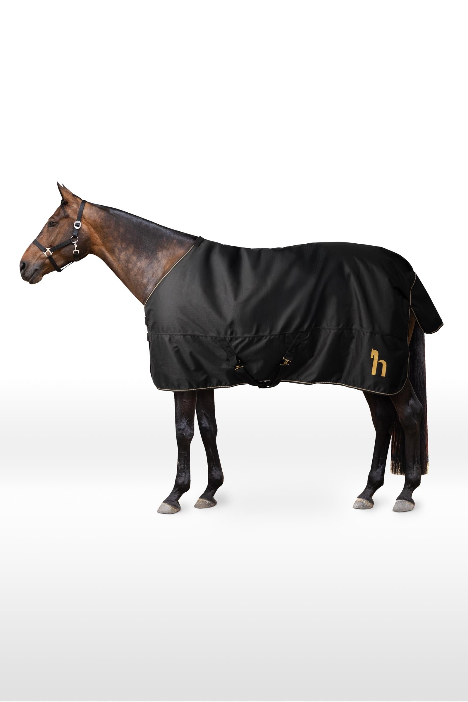 Horze 1200D coperta da paddock, 100 g Coperte per cavalli