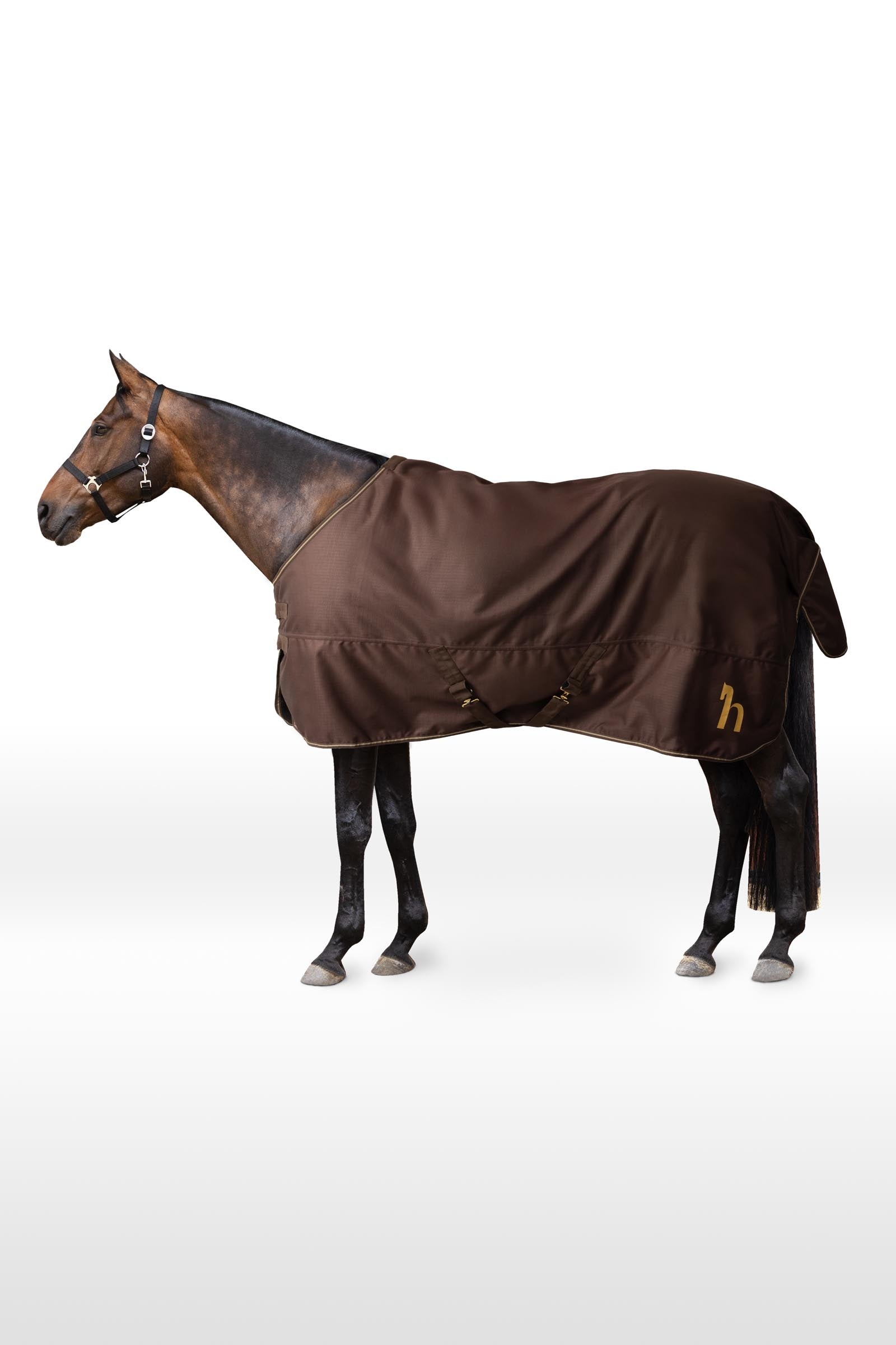 Horze 1200D coperta da paddock, 100 g Coperte per cavalli