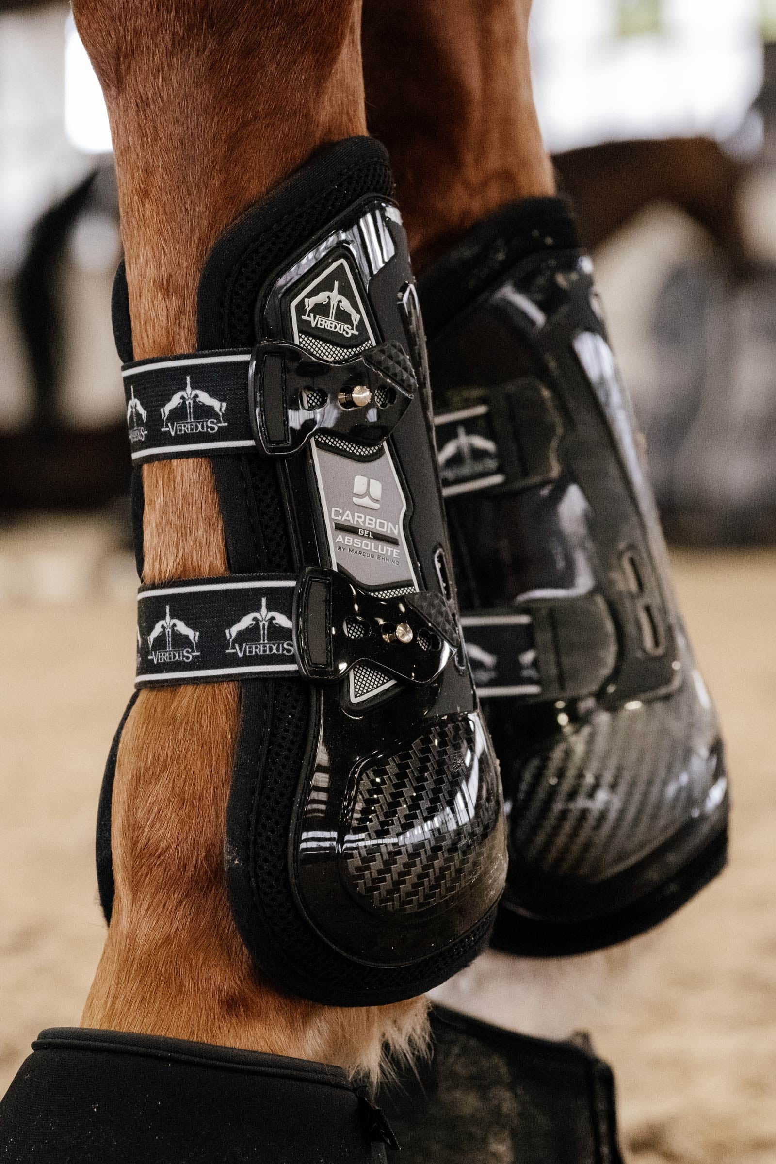 Veredus Carbon Gel Absolute Tendon Boots Leg Protection & Hoof Protection for Horses