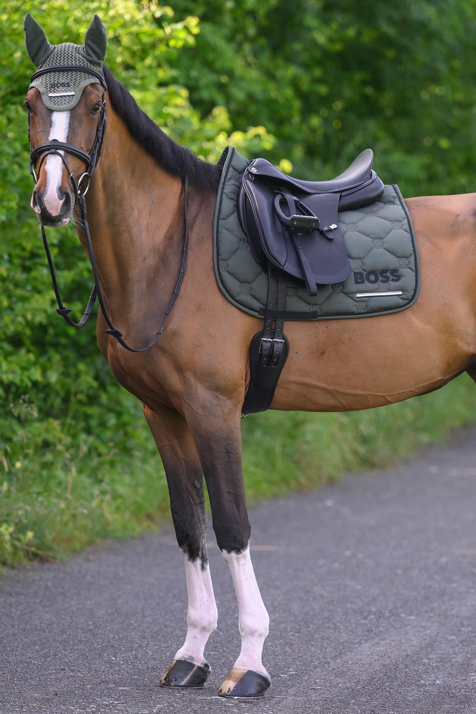 BOSS Equestrian Boss Cambridge Dressage Saddle Pad Saddle Pads