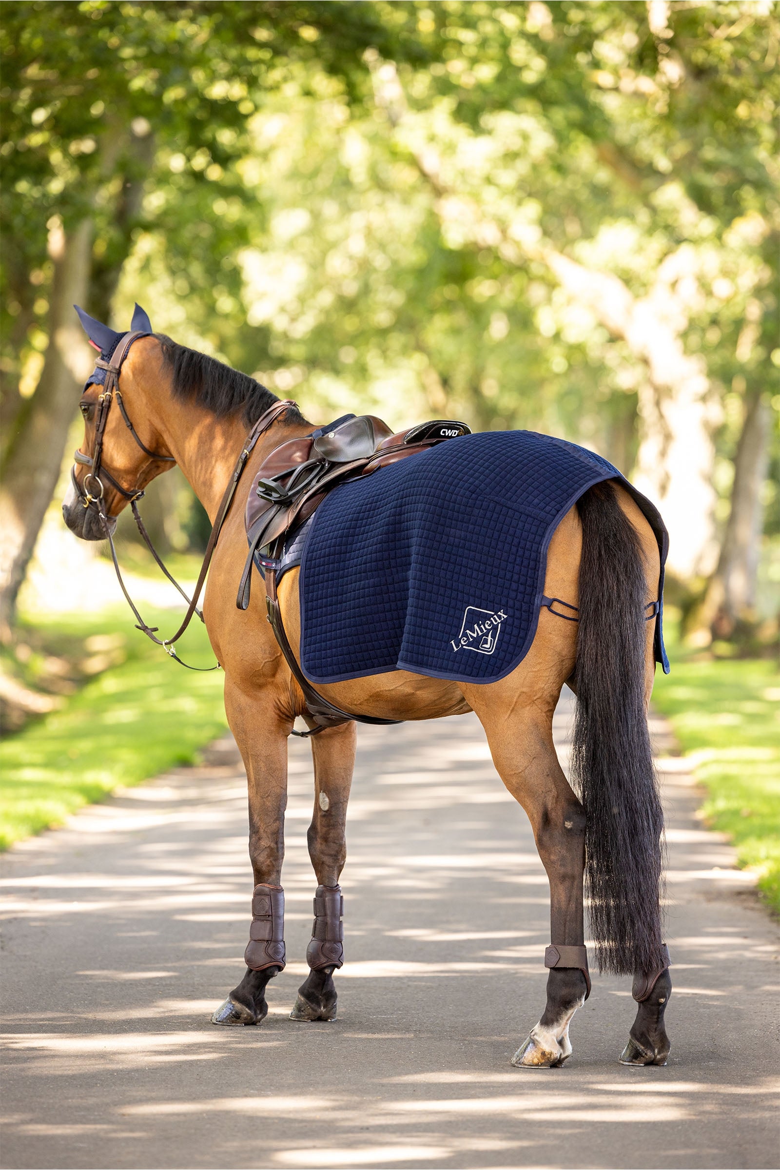 LeMieux Clima Tek coprireni Coperte per cavalli