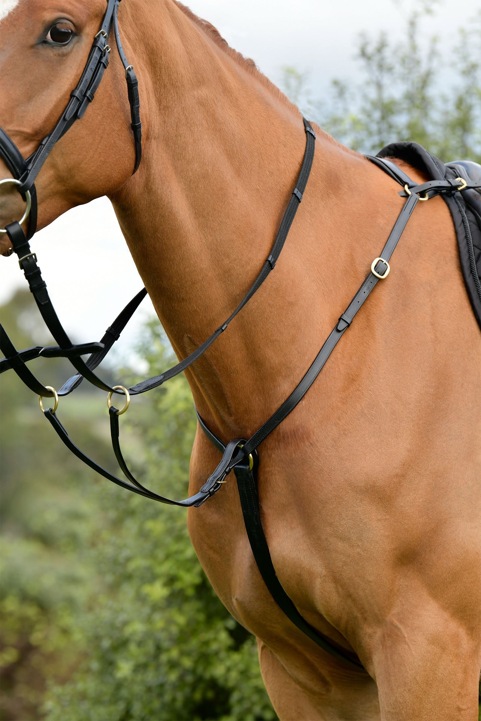 Kincade Classic pettorale a 3 punti con martingala scorrevole Briglie & redini