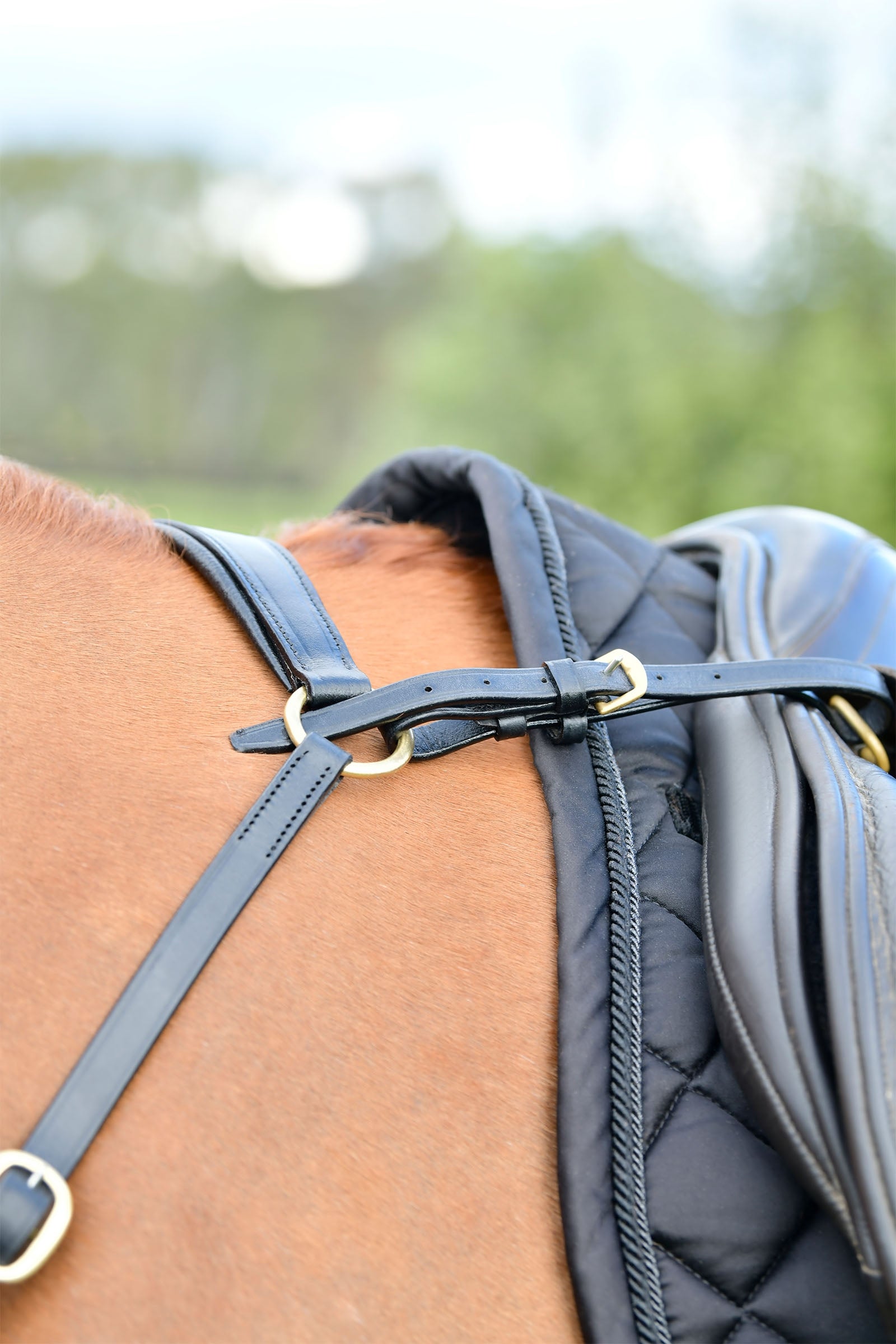 Kincade Classic 3 Point Breastplate With Running Martingale Bridles & Reins