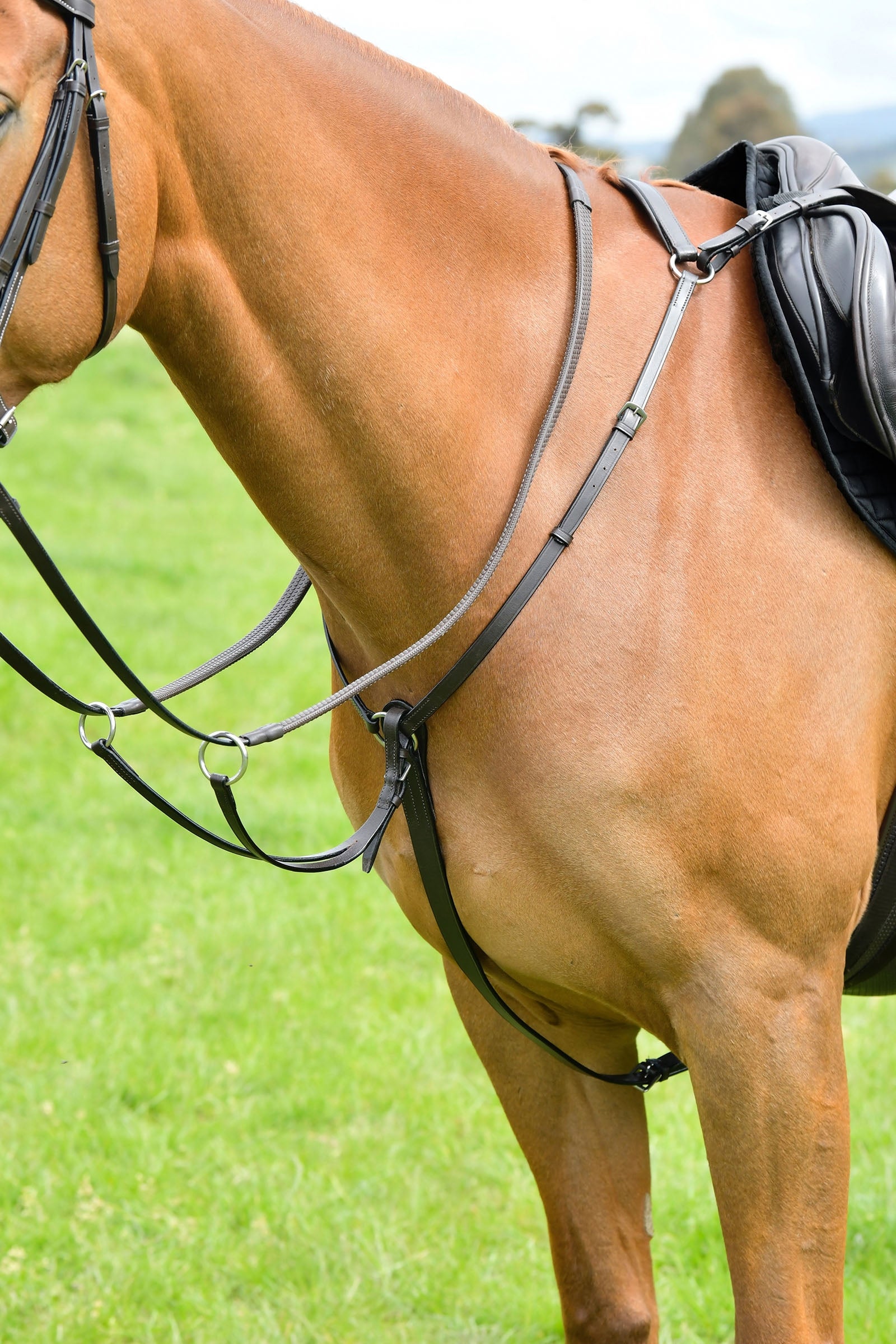 Kincade Classic pettorale a 3 punti con martingala scorrevole Briglie & redini