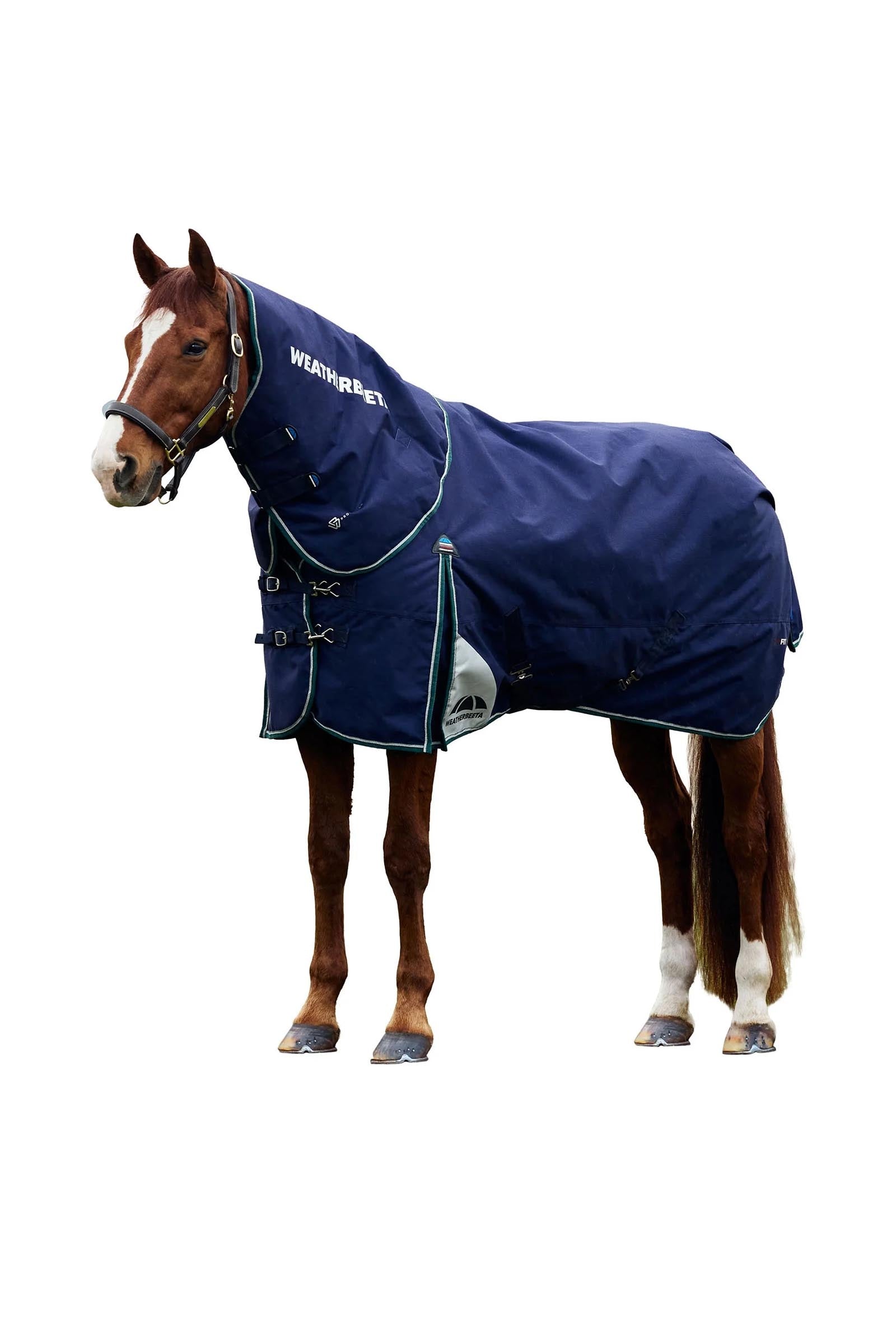Weatherbeeta Comfitec Plus Dynamic Turnout Rug Detach-A-Neck 360g Coperte per cavalli