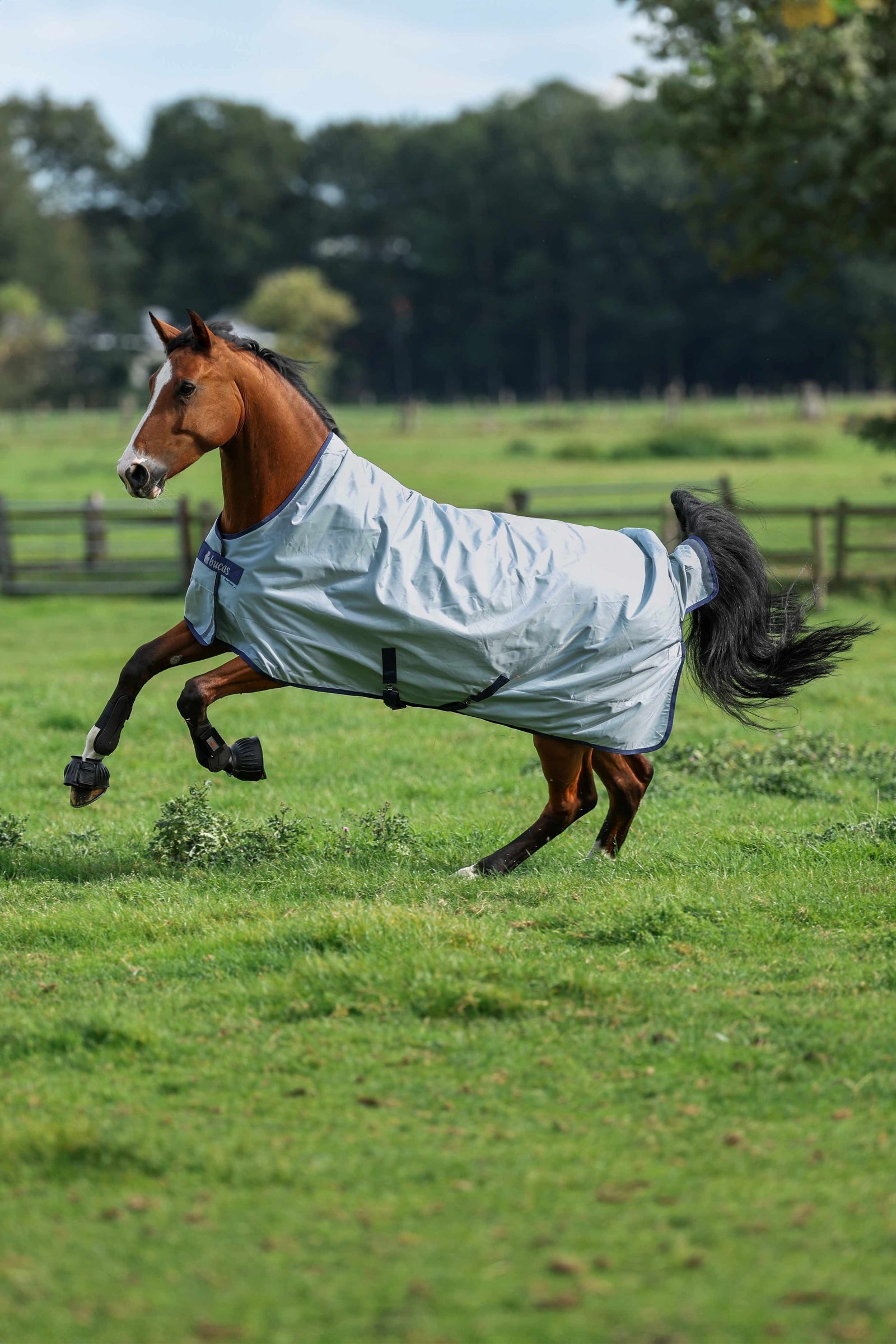 Bucas Power Light coperta da paddock con collo alto, 0 g Coperte per cavalli