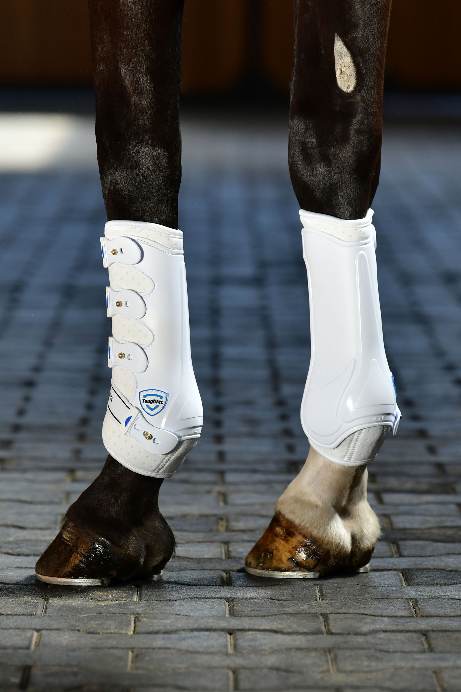Weatherbeeta Tough-Tec Hard Shell Dressage Boots Leg & Hoof Protection