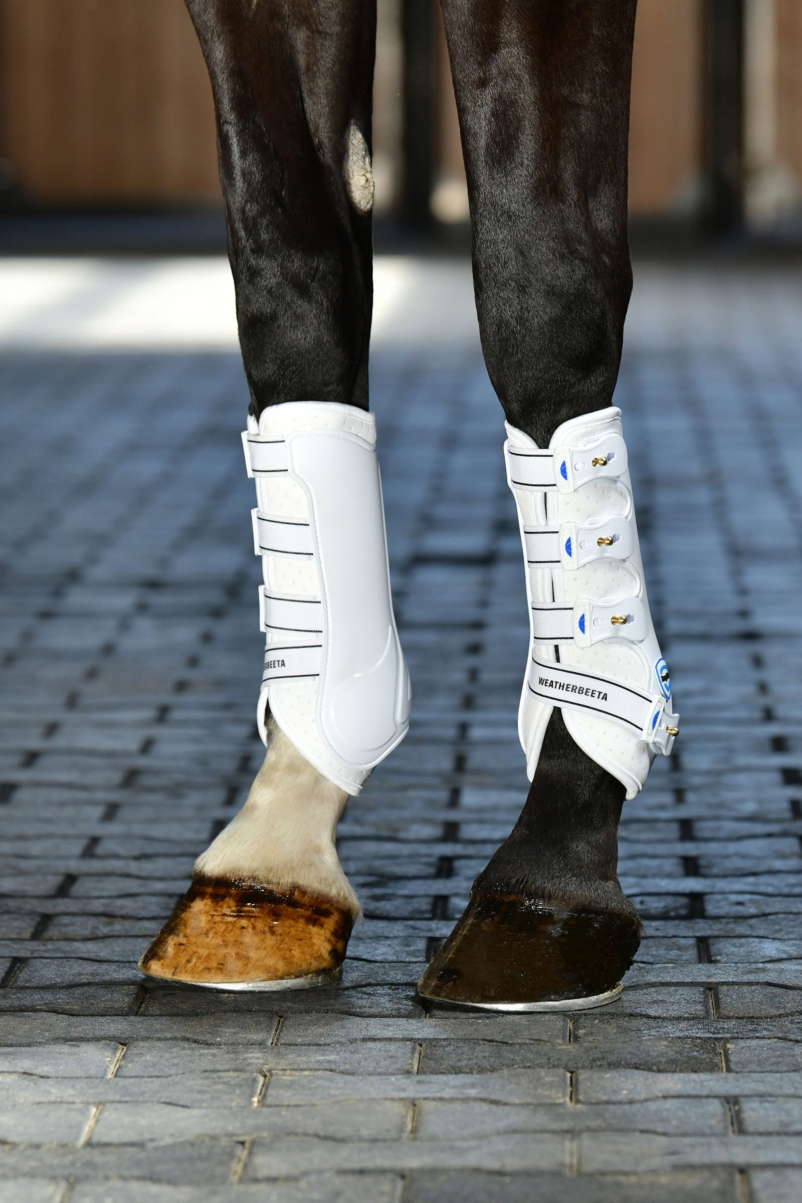 Weatherbeeta Tough-Tec Hard Shell Dressage Boots Leg & Hoof Protection