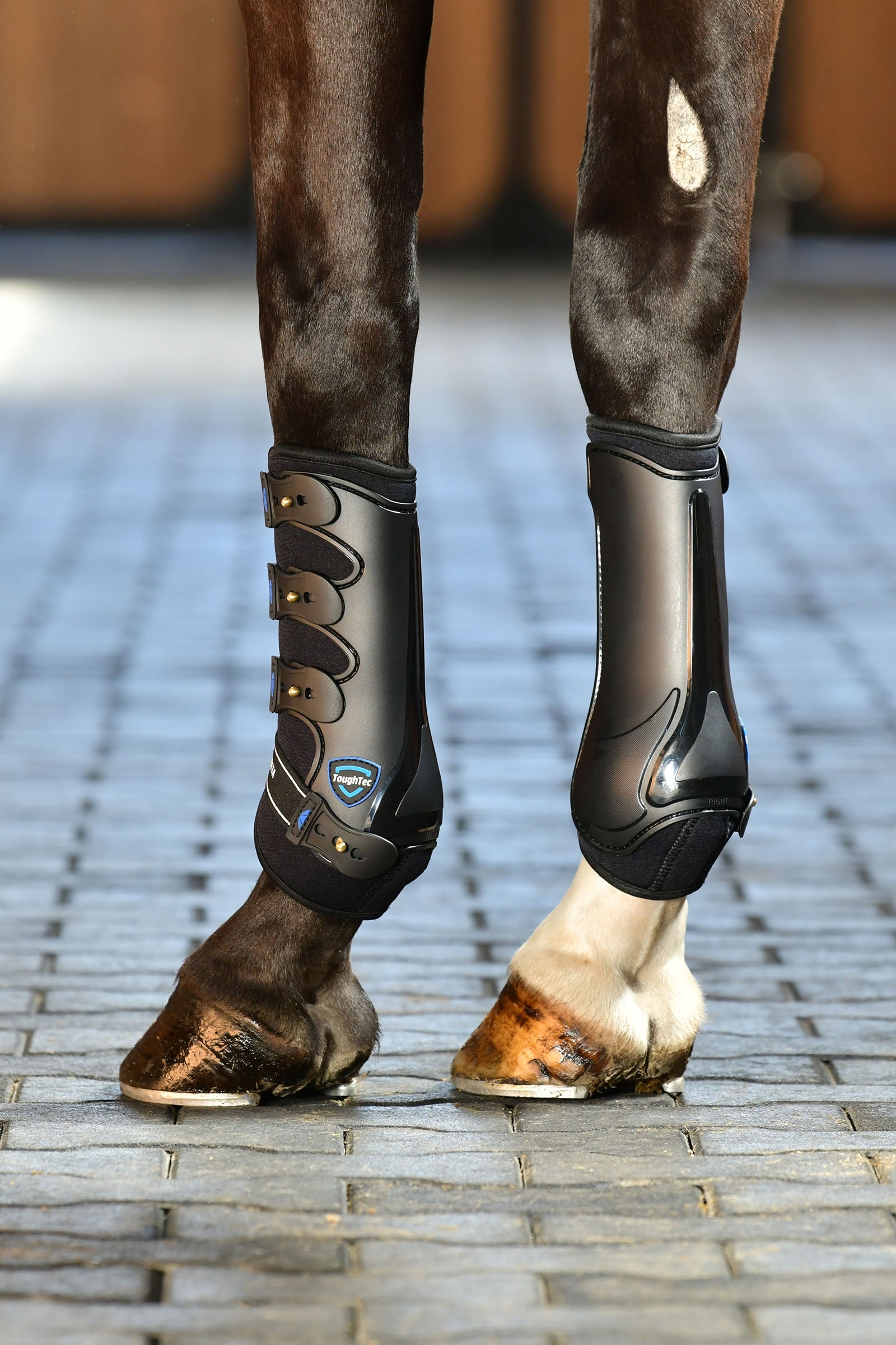 Weatherbeeta Tough-Tec Hard Shell Dressage Boots Leg & Hoof Protection