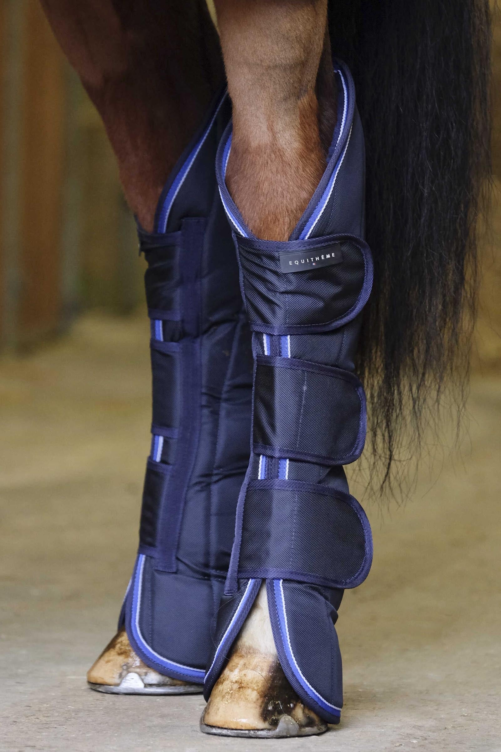 Equi Theme EQUITHÈME TYREX 1680D paratendini da trasporto Leg & Hoof Protection