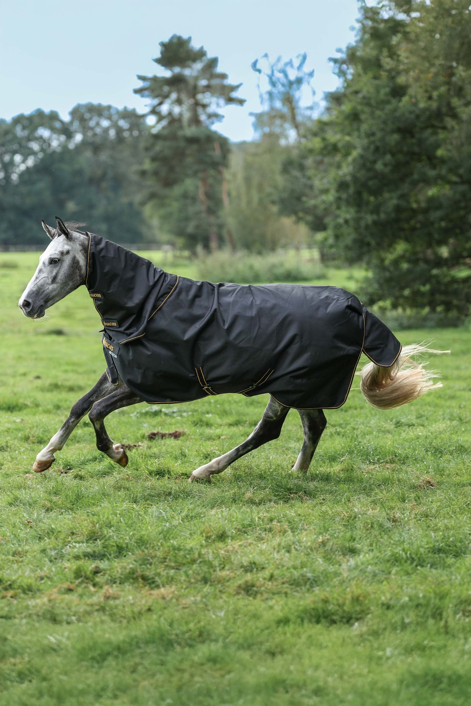 Bucas Irish Turnout 150 g Rug & Neck Set Coperte per cavalli