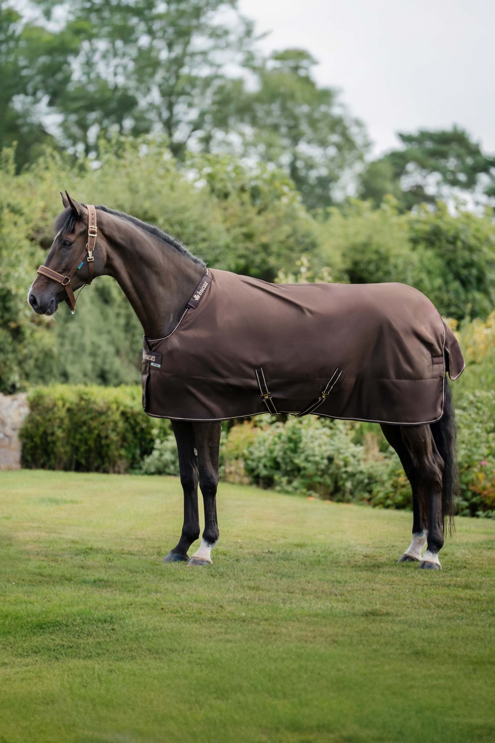 Bucas Irish Turnout 150 g Rug & Neck Set Coperte per cavalli