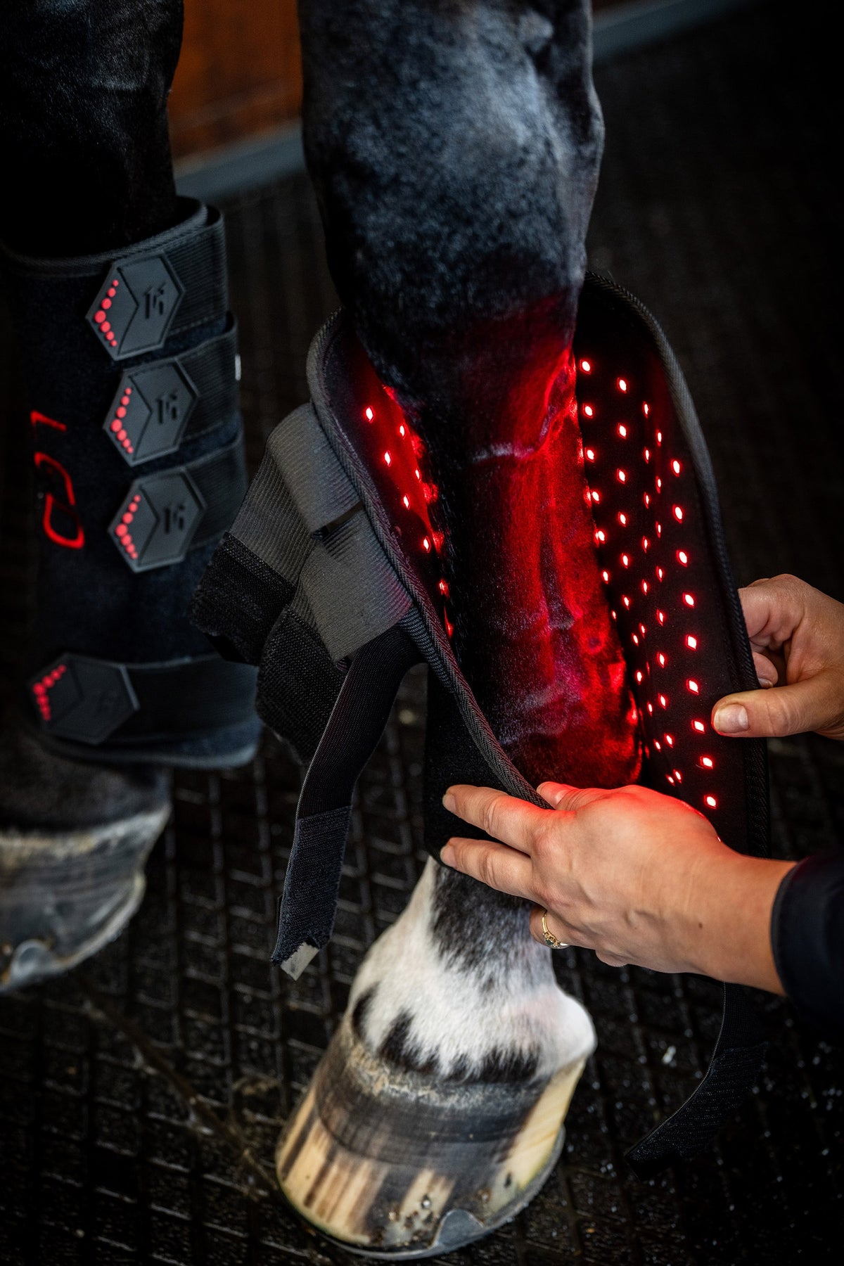 Horseware LED Red Light Therapy Leg Wraps Leg & Hoof Protection
