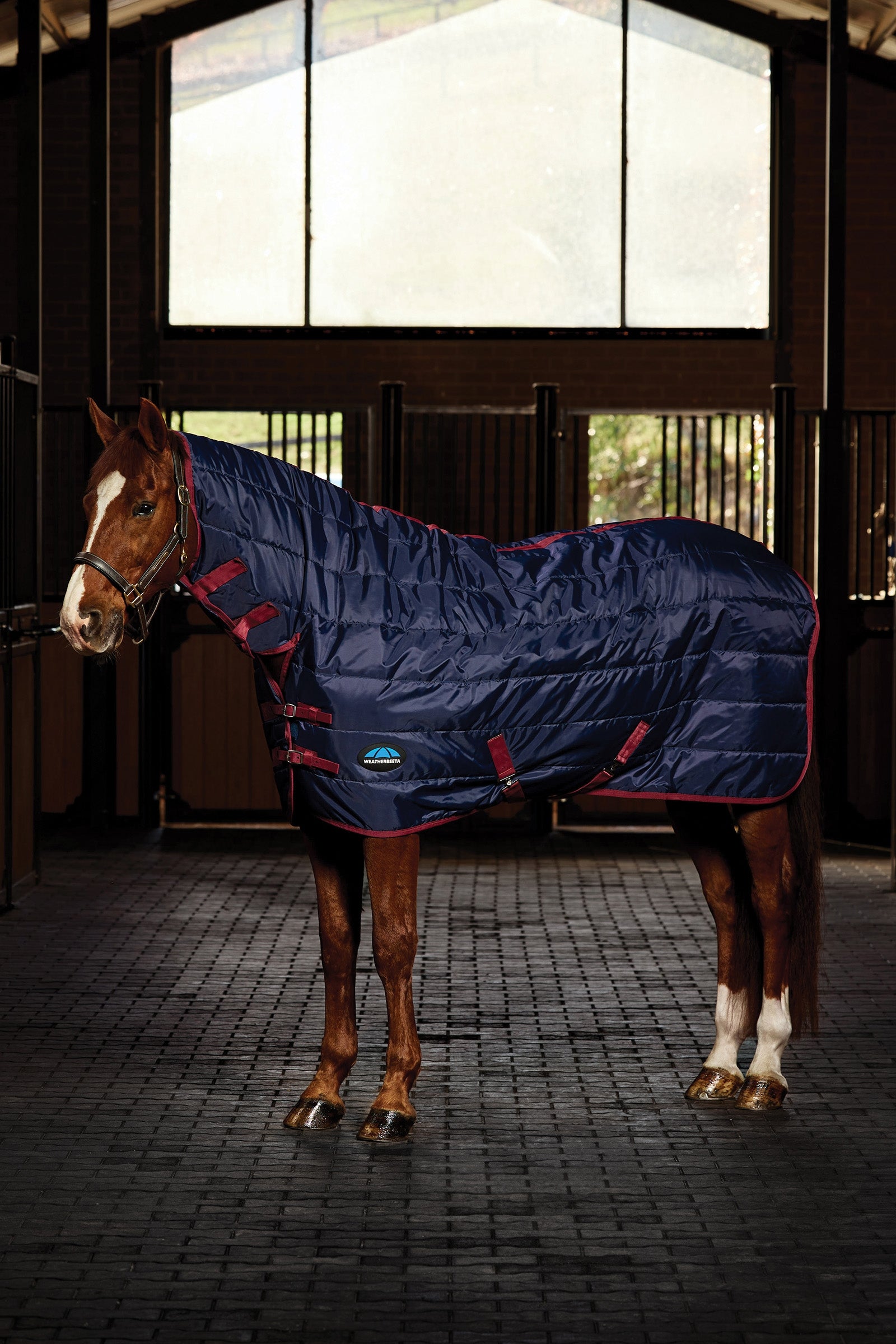 Weatherbeeta ComFiTec 210D Channel Quilt Stable Rug Combo Neck 220G Coperte per cavalli