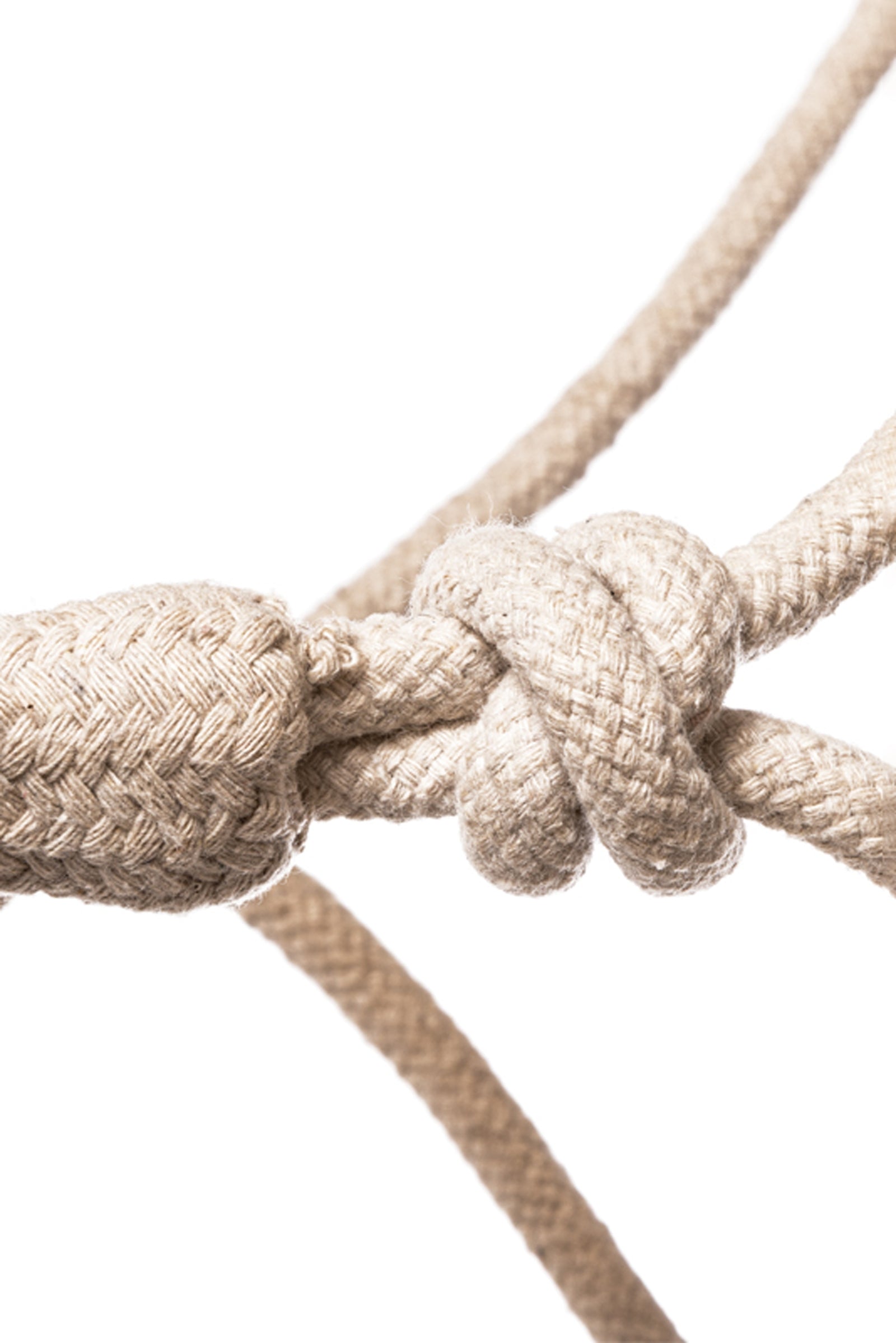 Kavalkade Knude Rope Halter Halters & Leads