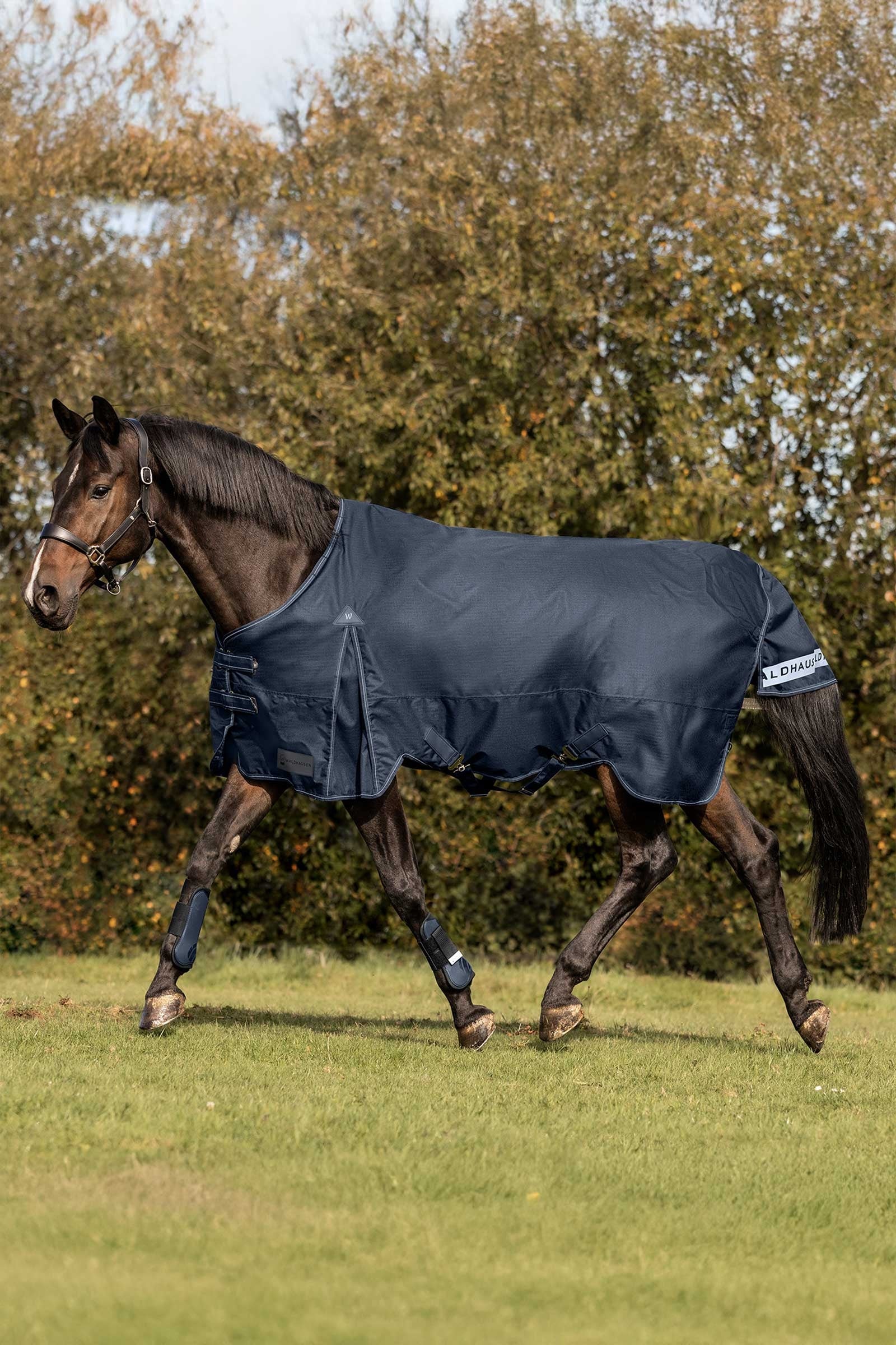 Waldhausen Arctic Turnout Rug, 50 g Horse Rugs