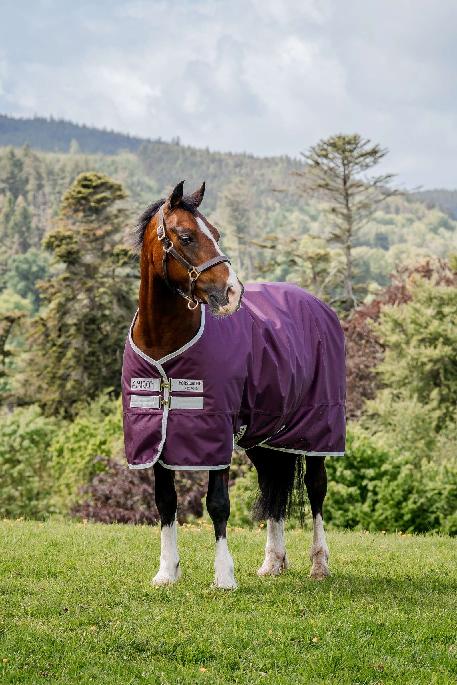 Horseware Amigo Hero Ripstop coperta da turnout, 50g Coperte per cavalli