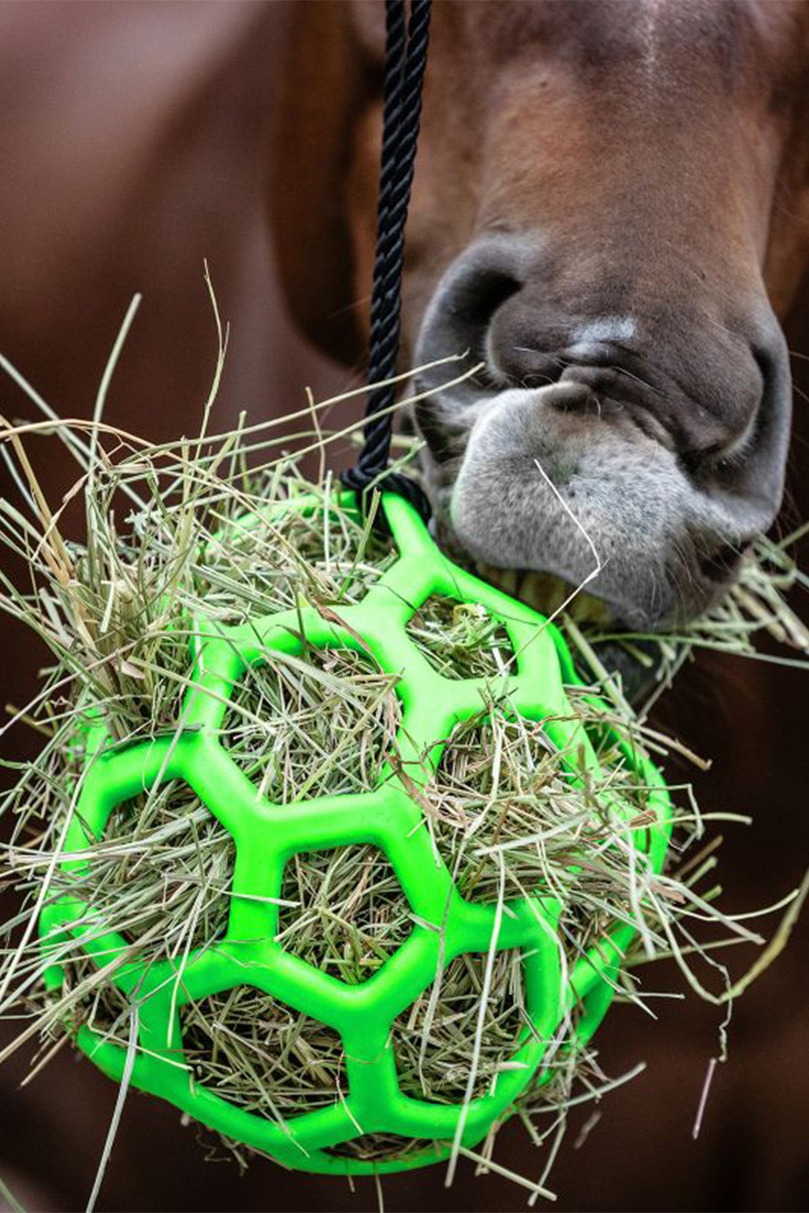 Waldhausen Palla di fieno Waldhausen Alimentazione e bevande