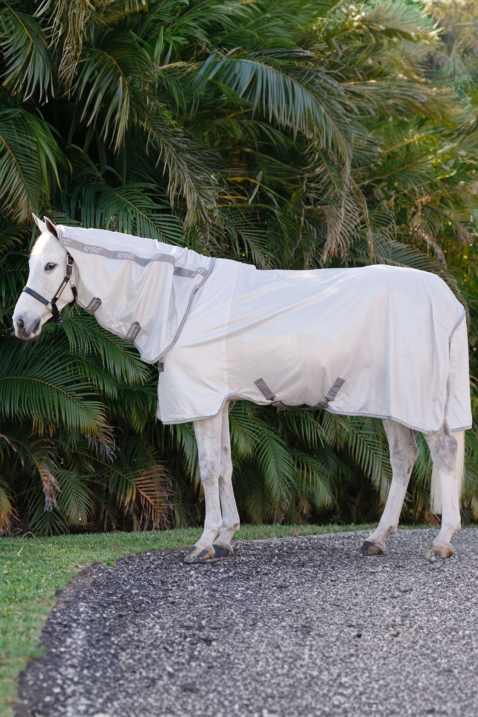 Horseware Amigo Coperta Anti-insetti Integrata Coperte per cavalli