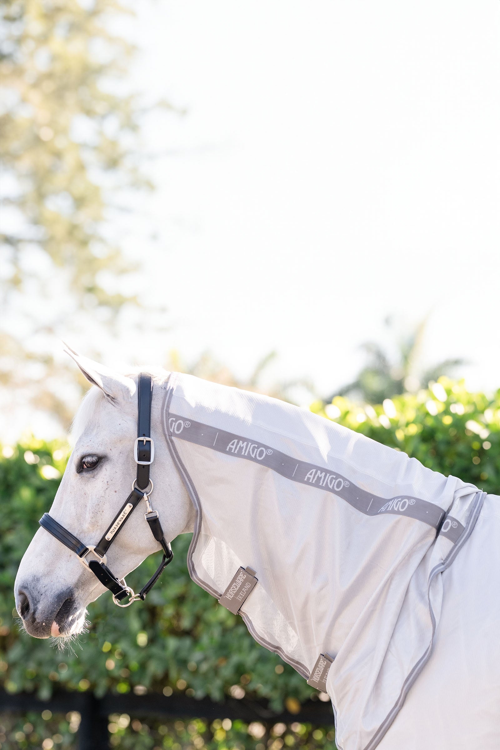 Horseware Amigo integrated Fly Sheet Horse Rugs