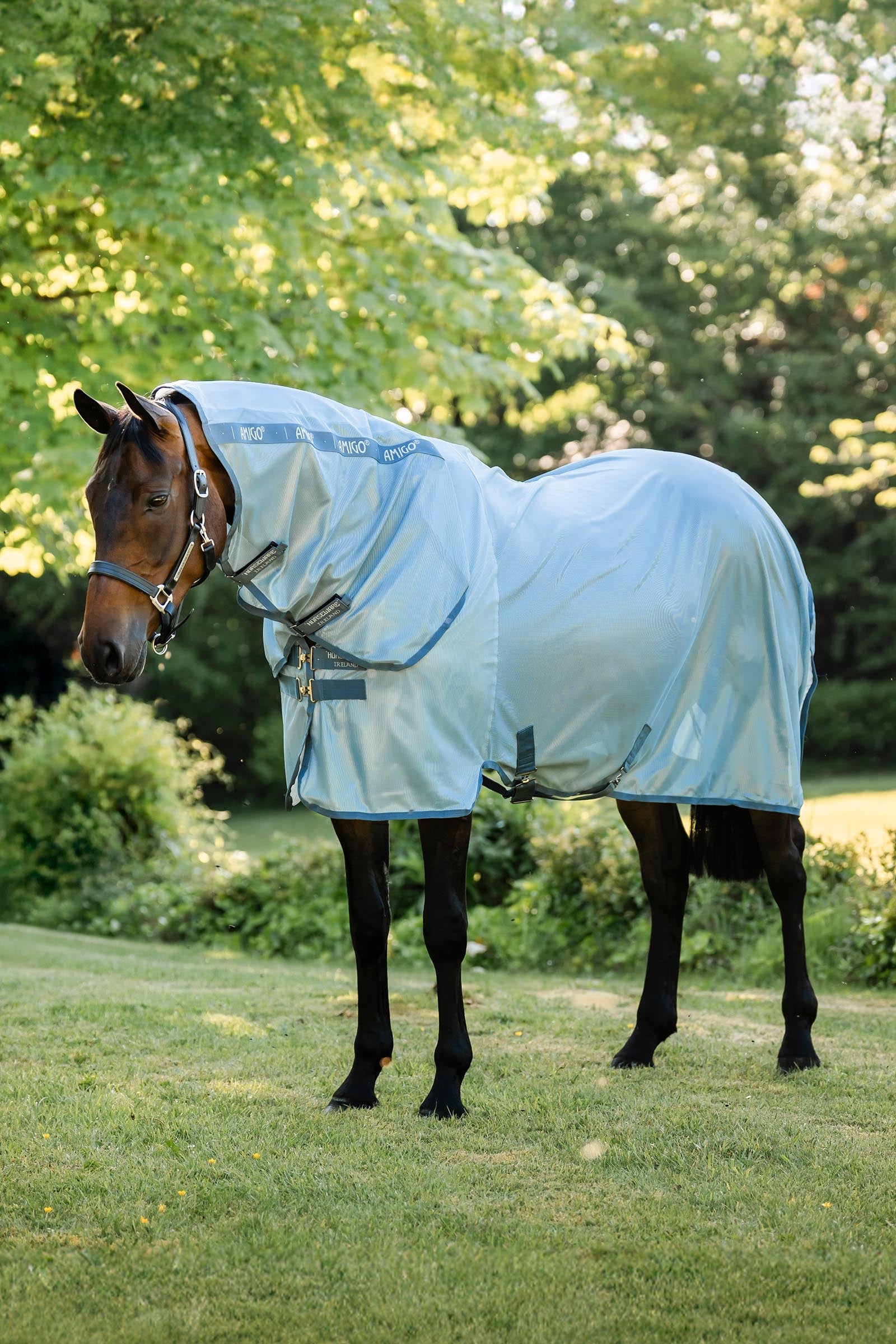 Horseware Amigo Coperta Anti-insetti Integrata Coperte per cavalli
