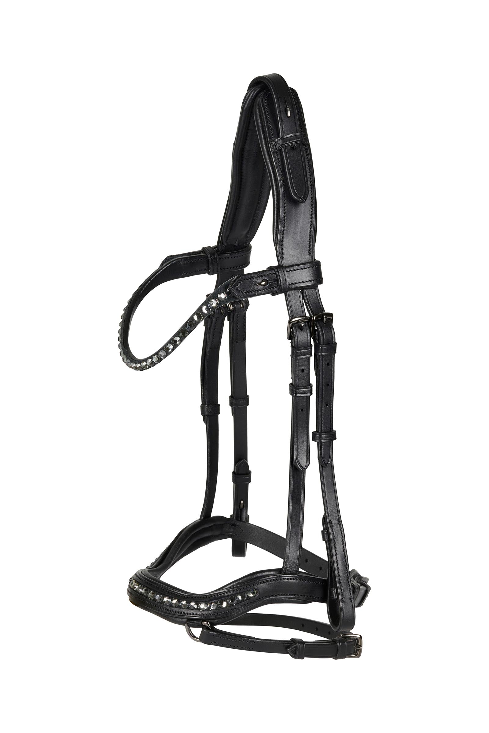 Catago Raja Icelandic Bridle Briglie & redini