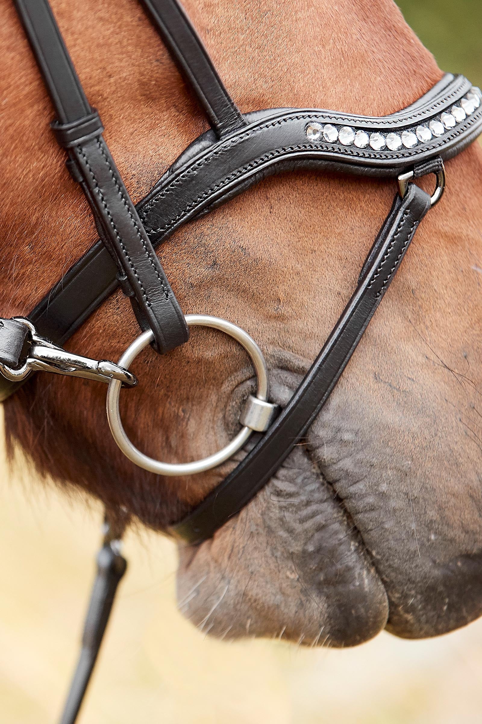 Catago Raja Icelandic Bridle Bridles & Reins