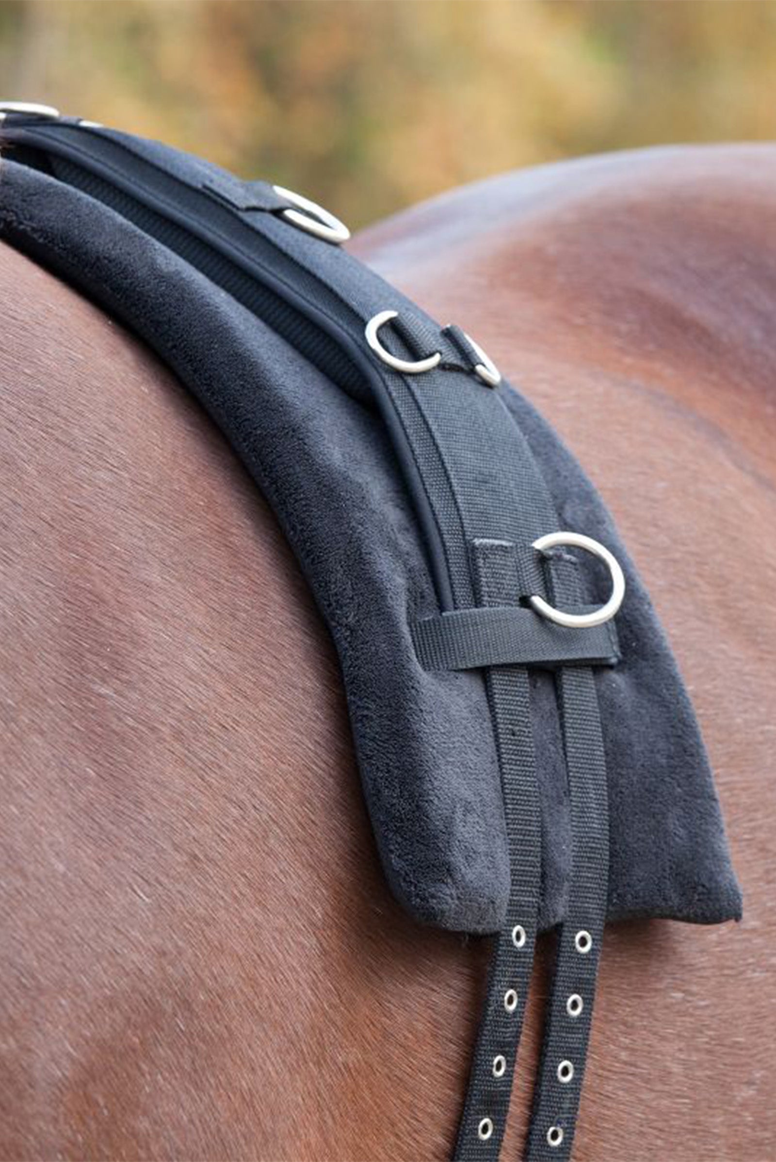 Waldhausen Sottopancia Memory Foam Addestramento del cavallo