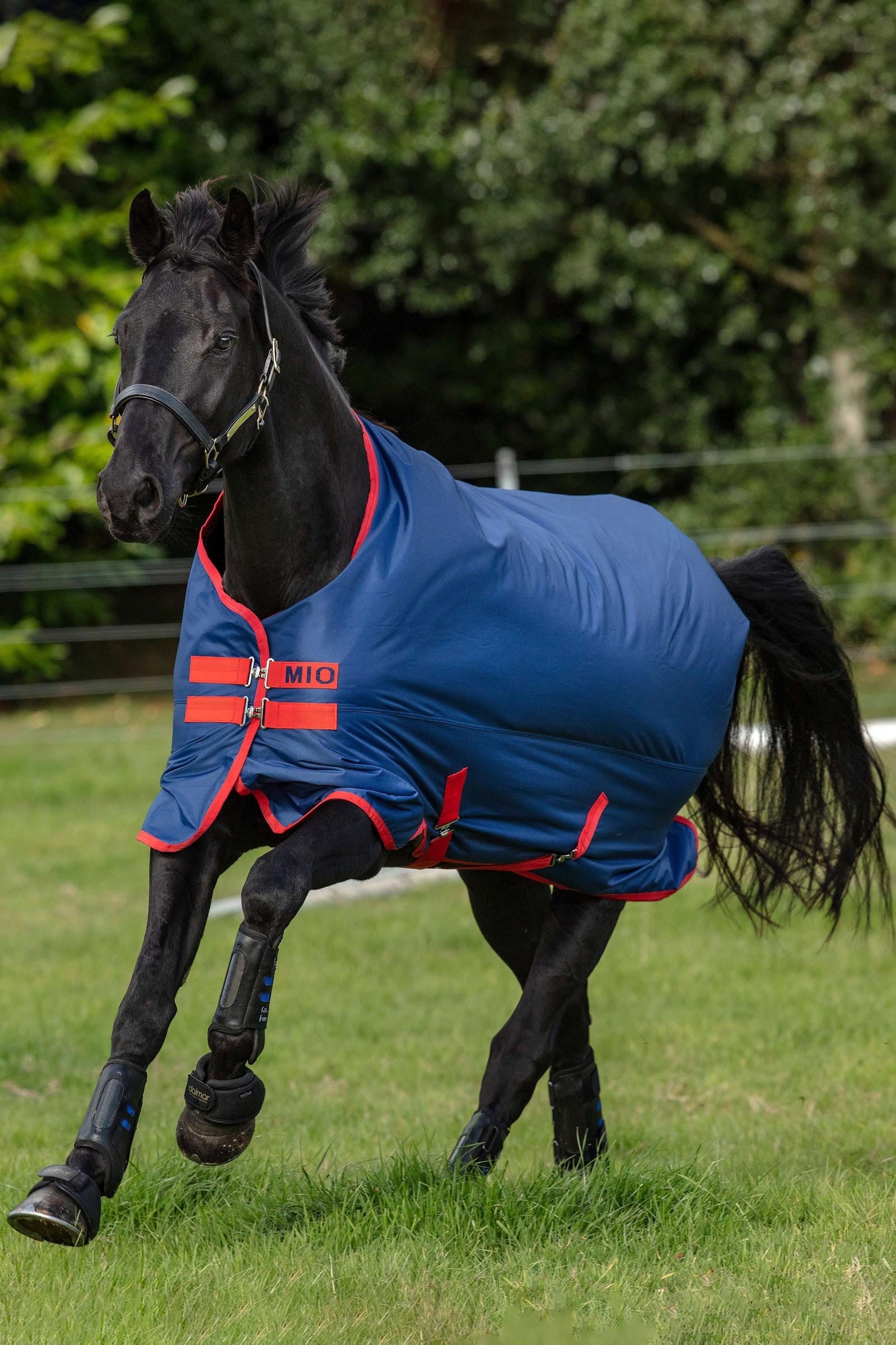 Horseware Mio Turnout Rug, 0g Horse Rugs