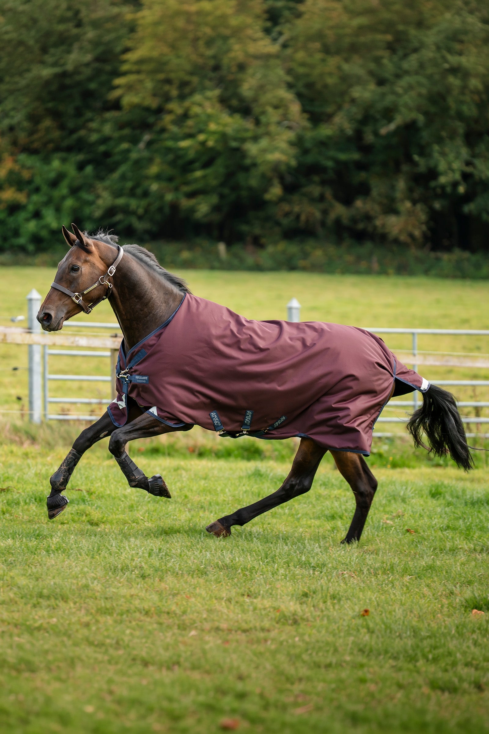Horseware Amigo 1200D Turnout Rug, 50 g Horse Rugs